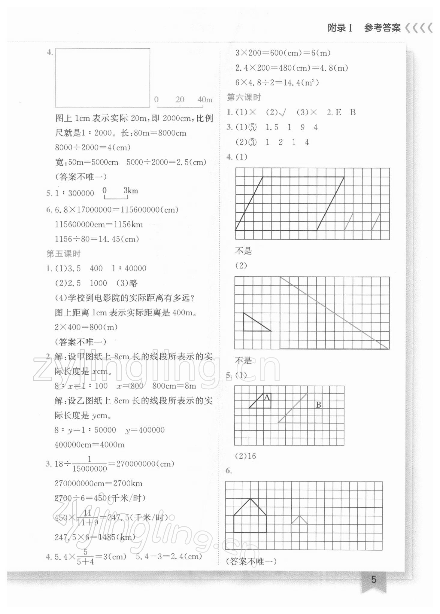 2022年黄冈小状元作业本六年级数学下册北师大版广东专版 参考答案第5页