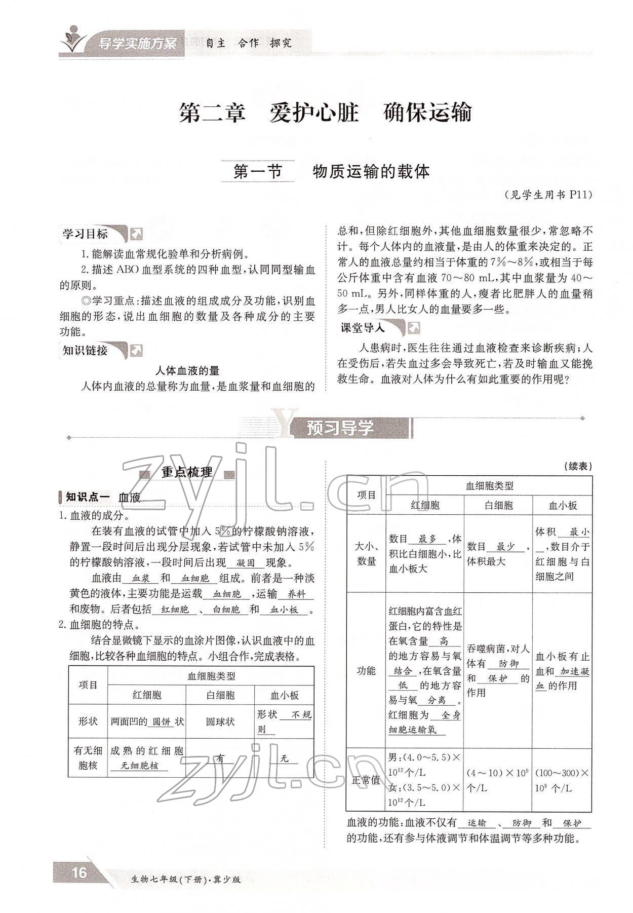 2022年金太陽導(dǎo)學(xué)案七年級生物下冊冀少版 參考答案第16頁