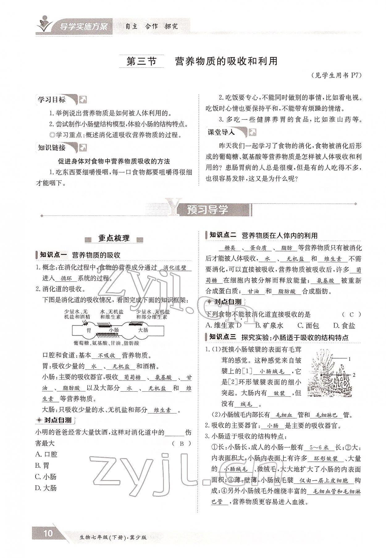 2022年金太阳导学案七年级生物下册冀少版 参考答案第10页