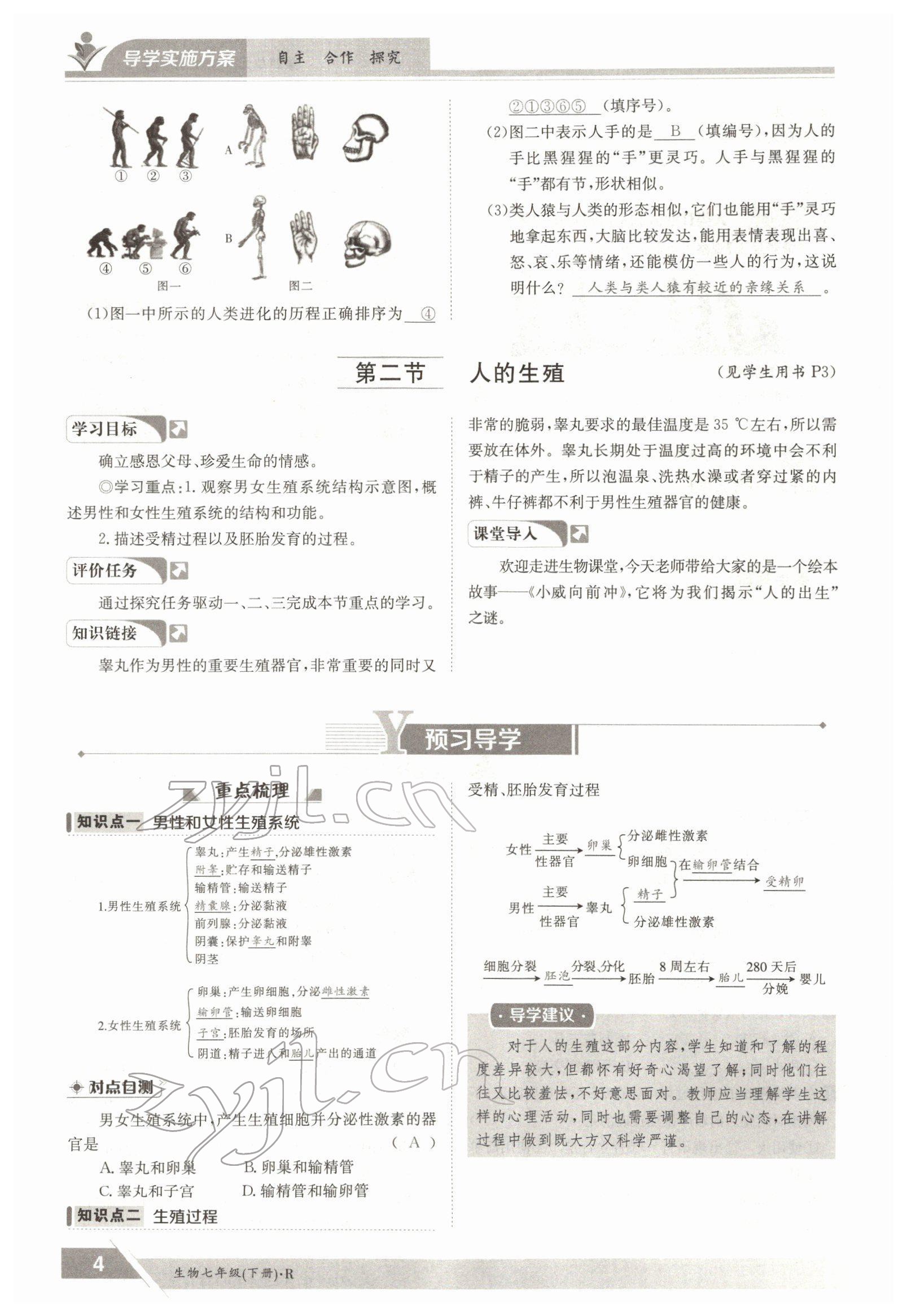 2022年金太阳导学案七年级生物下册人教版 参考答案第4页