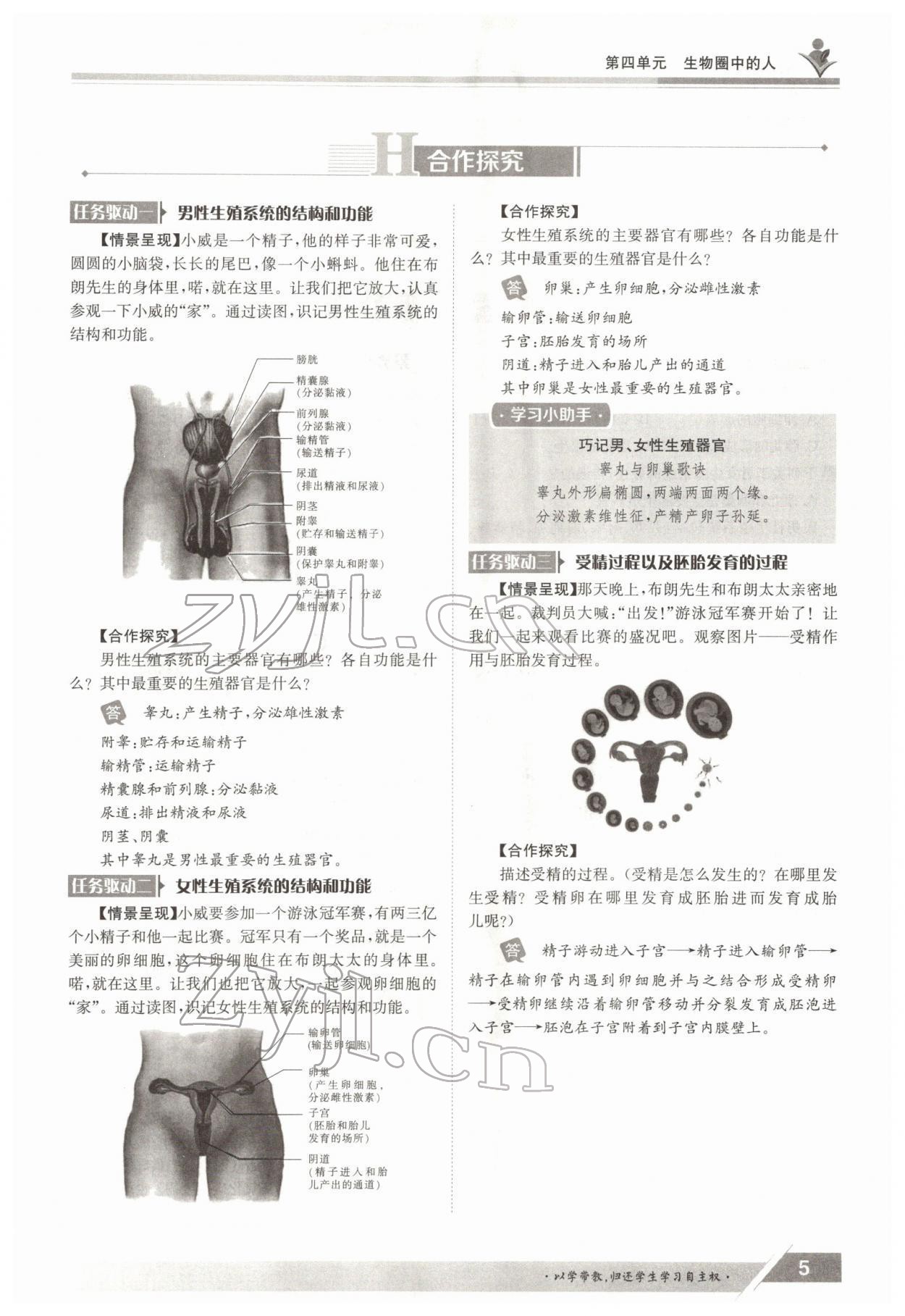 2022年金太阳导学案七年级生物下册人教版 参考答案第5页