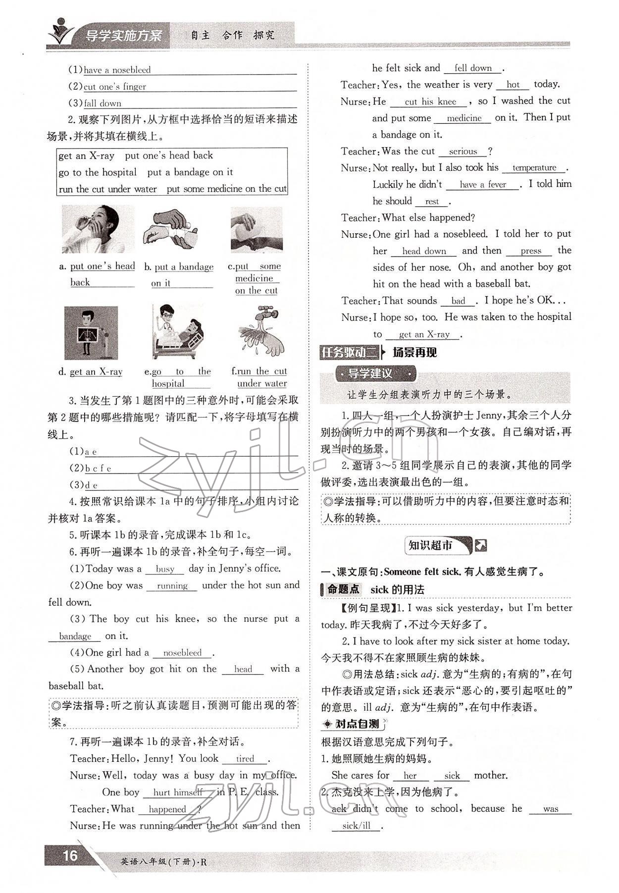 2022年金太陽導(dǎo)學(xué)案八年級英語下冊人教版 參考答案第16頁