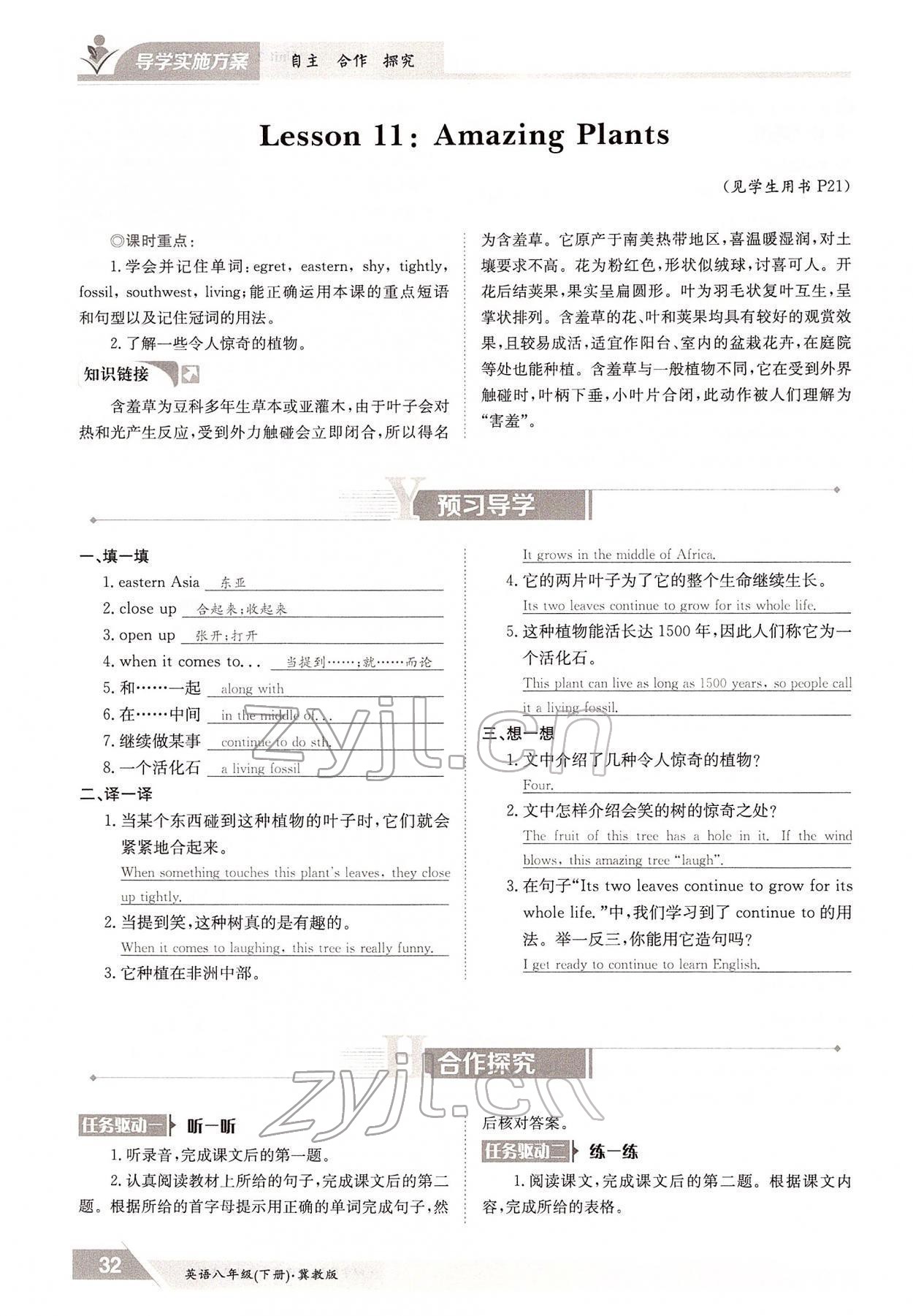 2022年金太陽導學案八年級英語下冊冀教版 參考答案第32頁