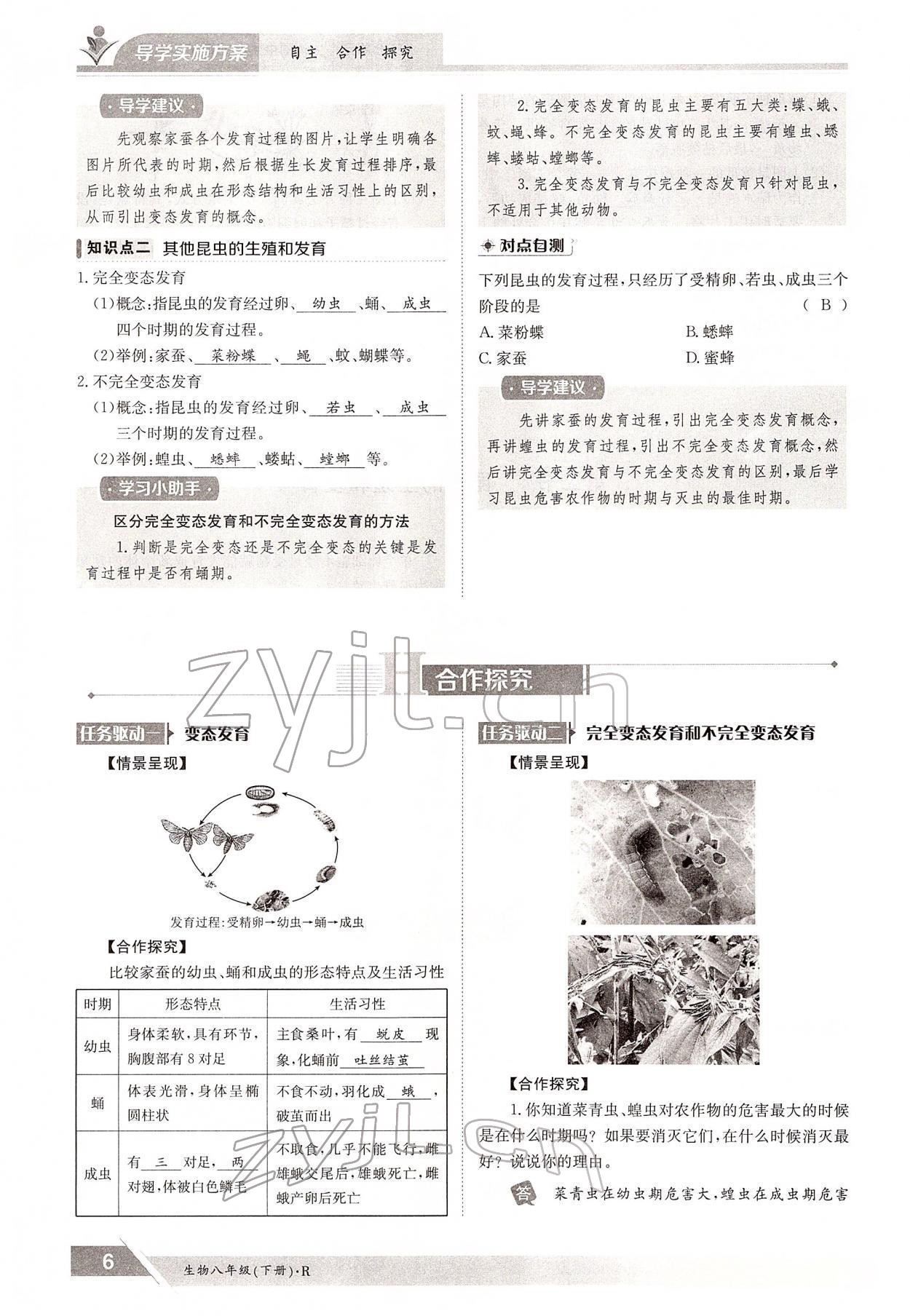 2022年金太陽導學案八年級生物下冊人教版 參考答案第6頁