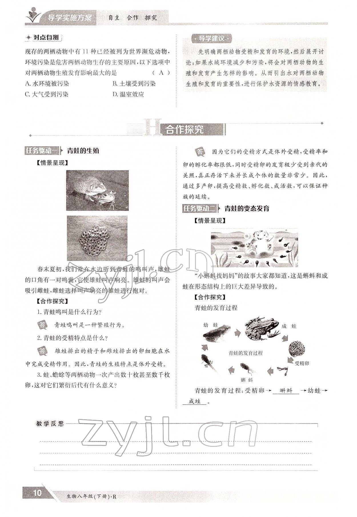 2022年金太陽(yáng)導(dǎo)學(xué)案八年級(jí)生物下冊(cè)人教版 參考答案第10頁(yè)