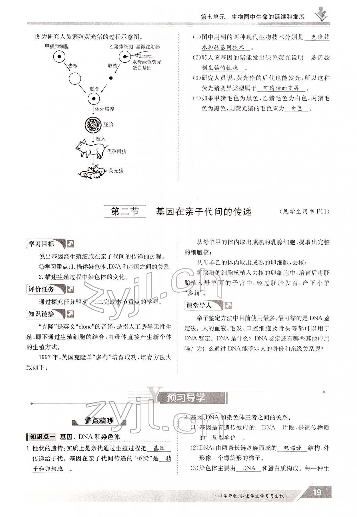 2022年金太阳导学案八年级生物下册人教版 参考答案第19页