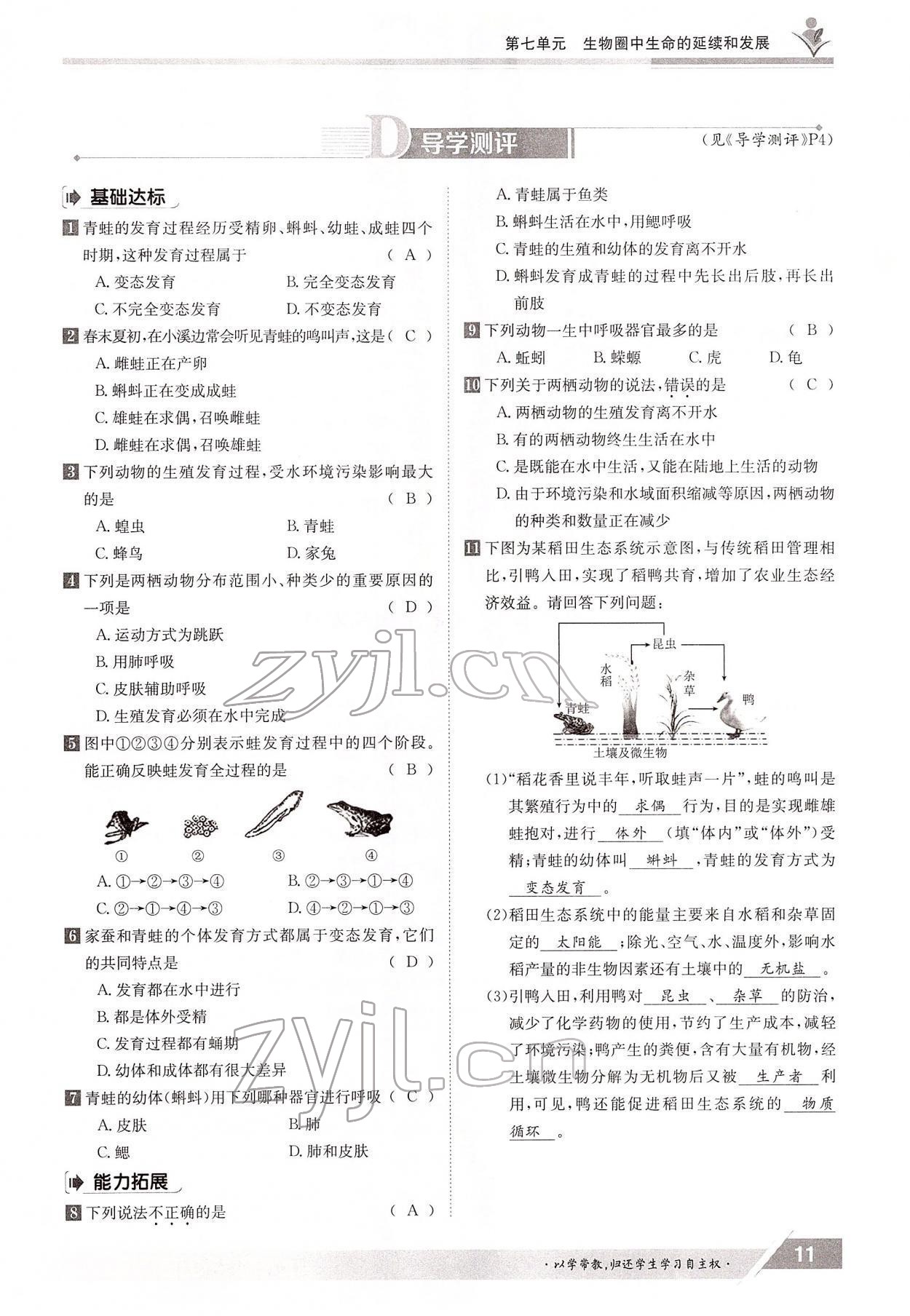 2022年金太陽(yáng)導(dǎo)學(xué)案八年級(jí)生物下冊(cè)人教版 參考答案第11頁(yè)