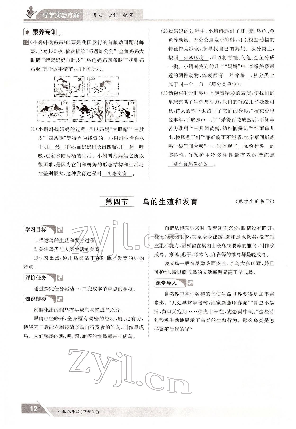 2022年金太陽導(dǎo)學(xué)案八年級生物下冊人教版 參考答案第12頁