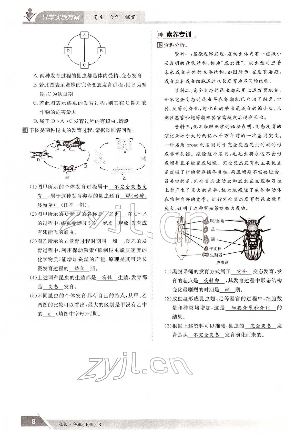 2022年金太陽導(dǎo)學(xué)案八年級(jí)生物下冊(cè)人教版 參考答案第8頁