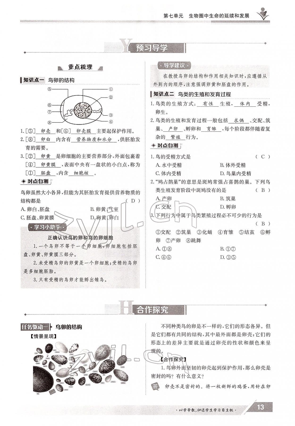 2022年金太陽導(dǎo)學(xué)案八年級生物下冊人教版 參考答案第13頁