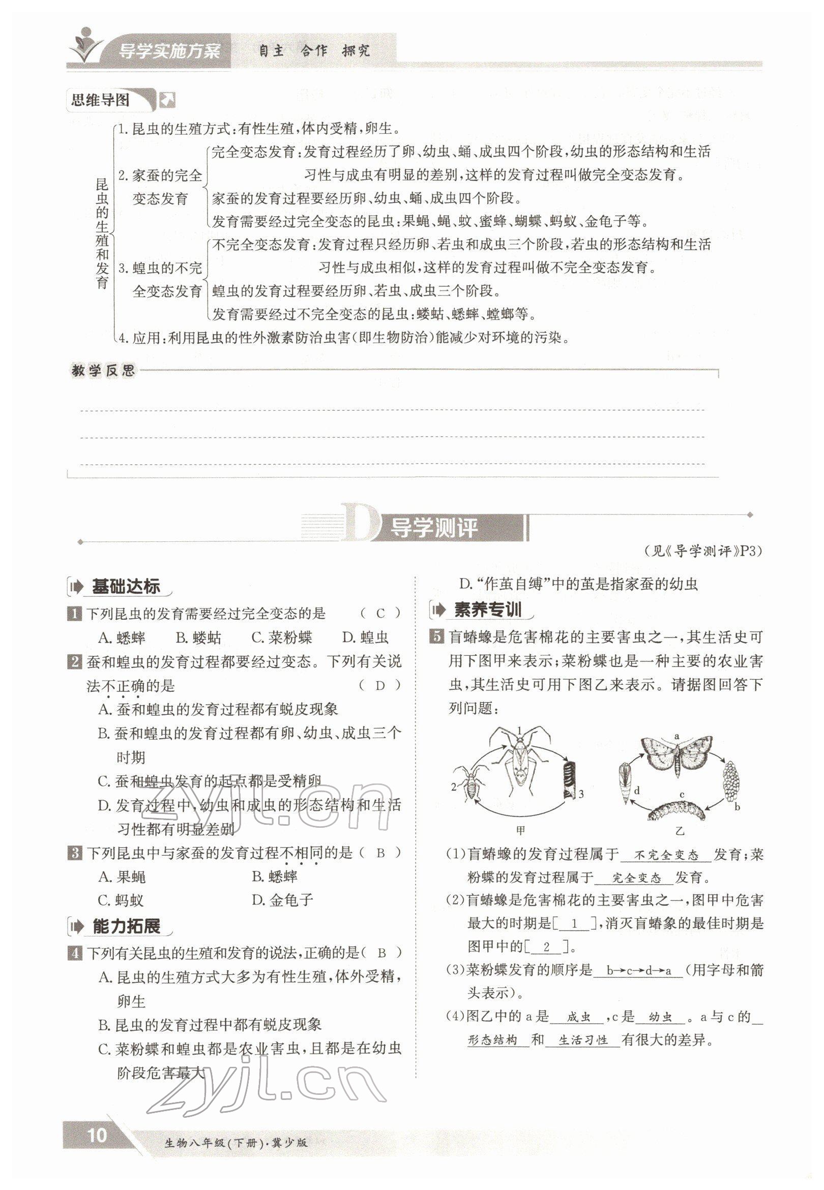 2022年金太陽導學案八年級生物下冊冀少版 參考答案第10頁