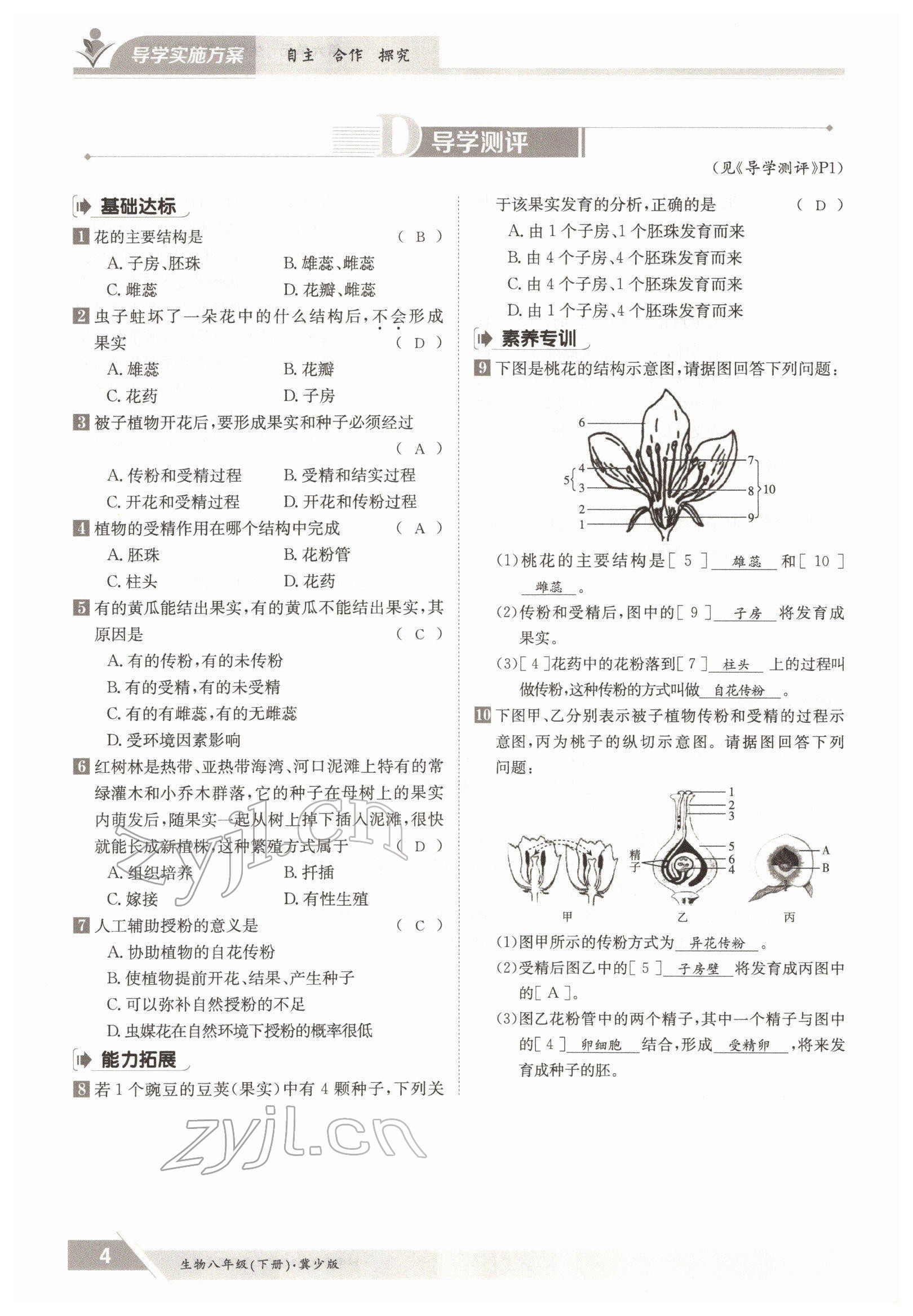 2022年金太阳导学案八年级生物下册冀少版 参考答案第4页