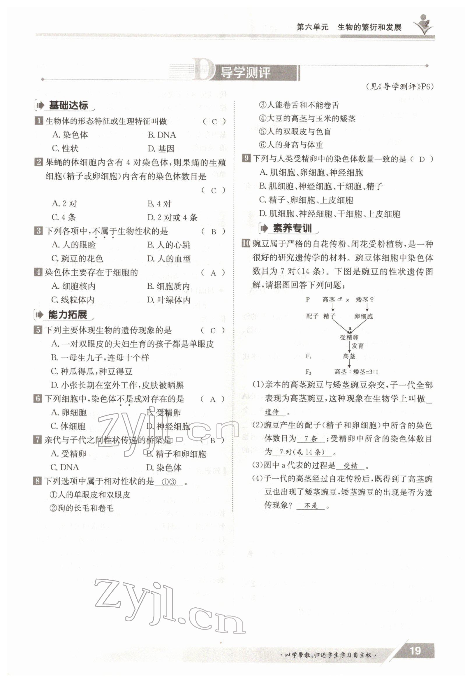 2022年金太阳导学案八年级生物下册冀少版 参考答案第19页