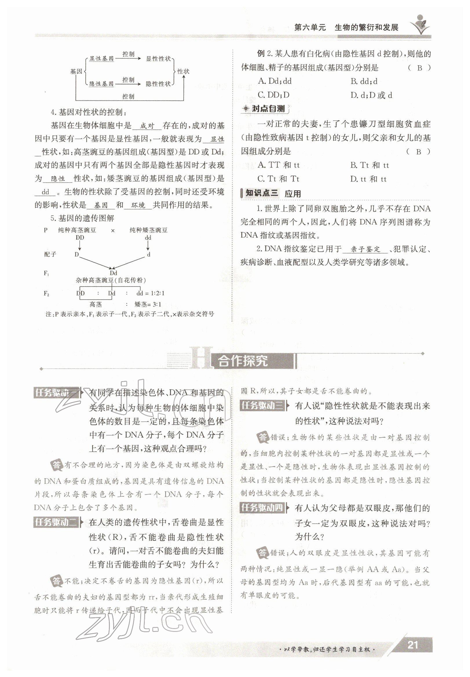 2022年金太陽導學案八年級生物下冊冀少版 參考答案第21頁