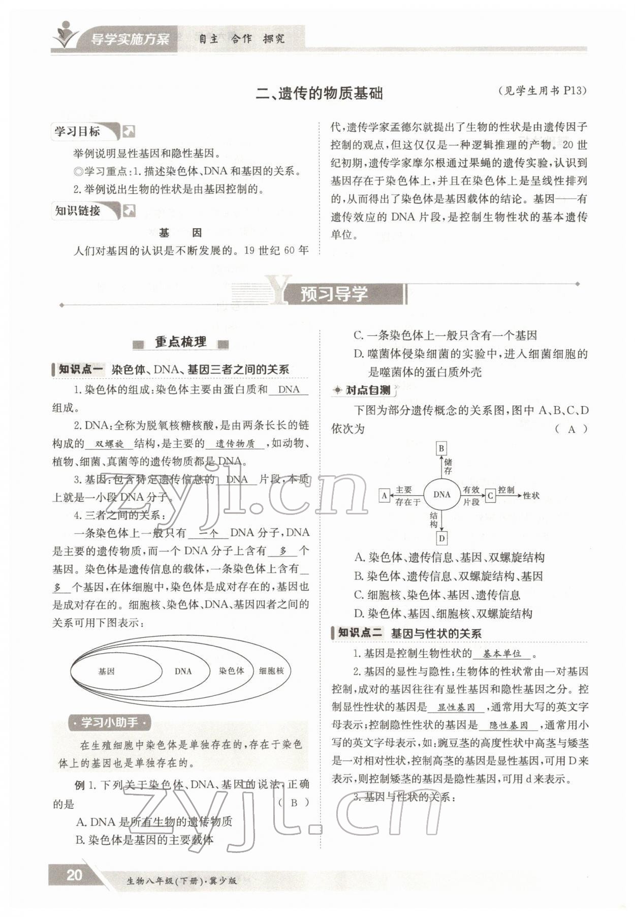 2022年金太阳导学案八年级生物下册冀少版 参考答案第20页