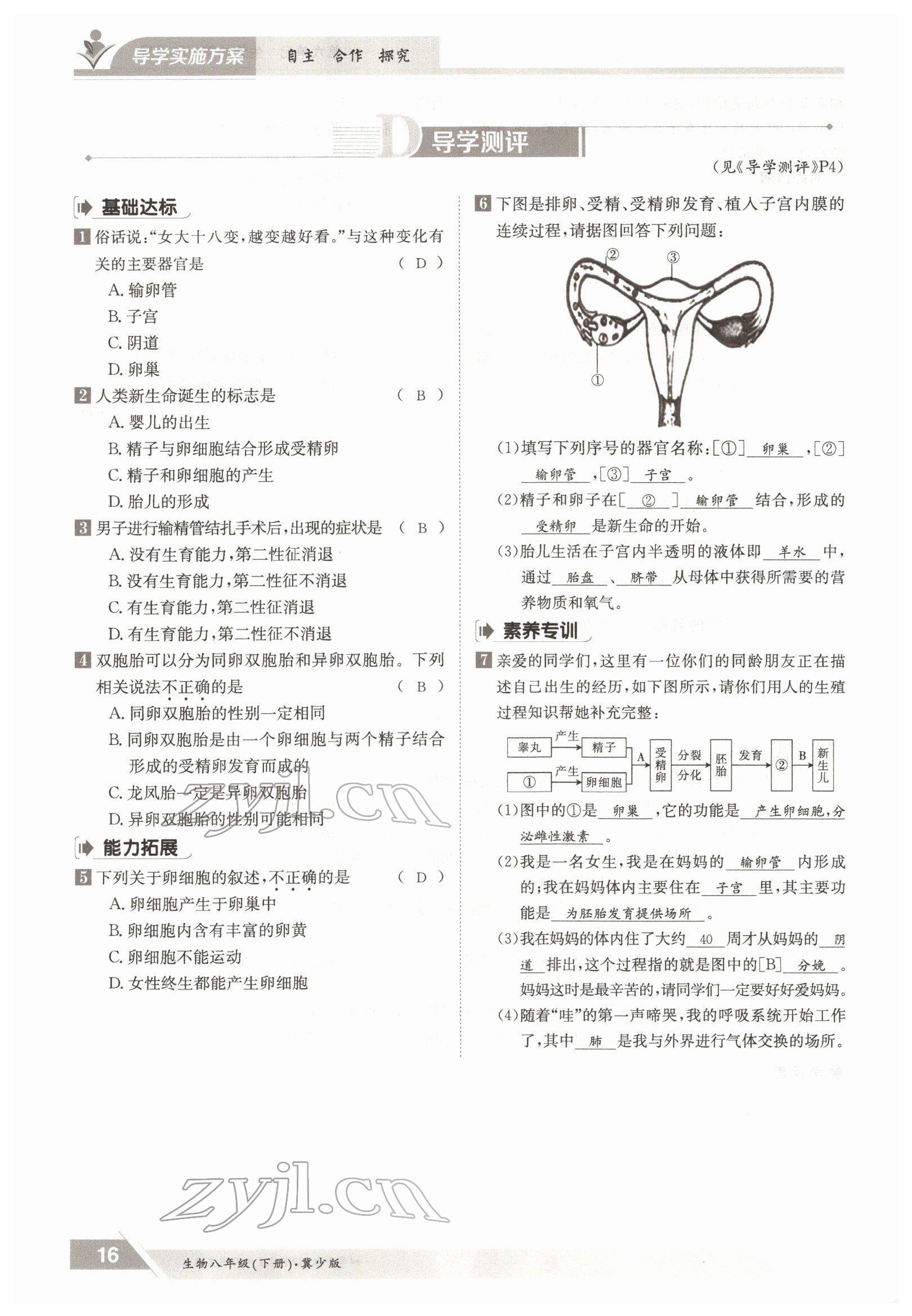 2022年金太阳导学案八年级生物下册冀少版 参考答案第16页