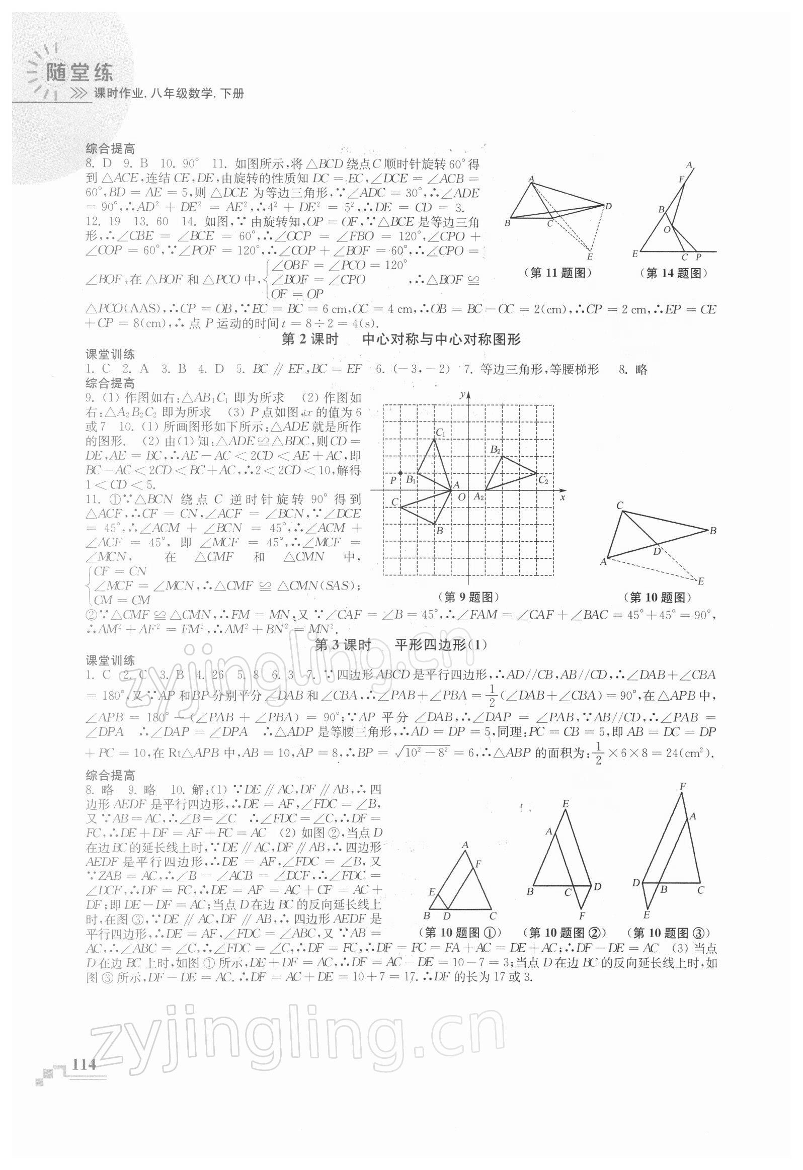 2022年隨堂練課時作業(yè)八年級數(shù)學下冊蘇科版 第4頁