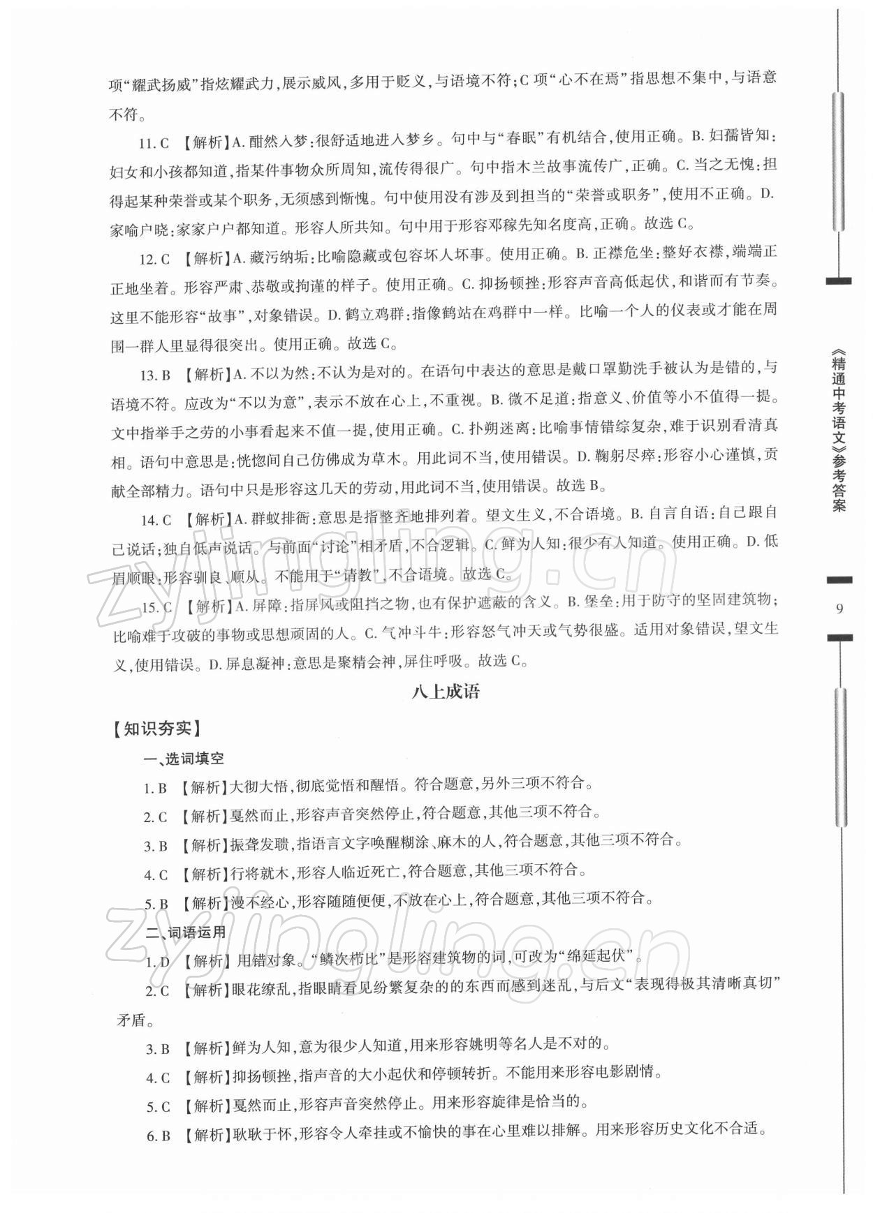 2022年精通中考語文基礎知識與試卷訓練 第9頁