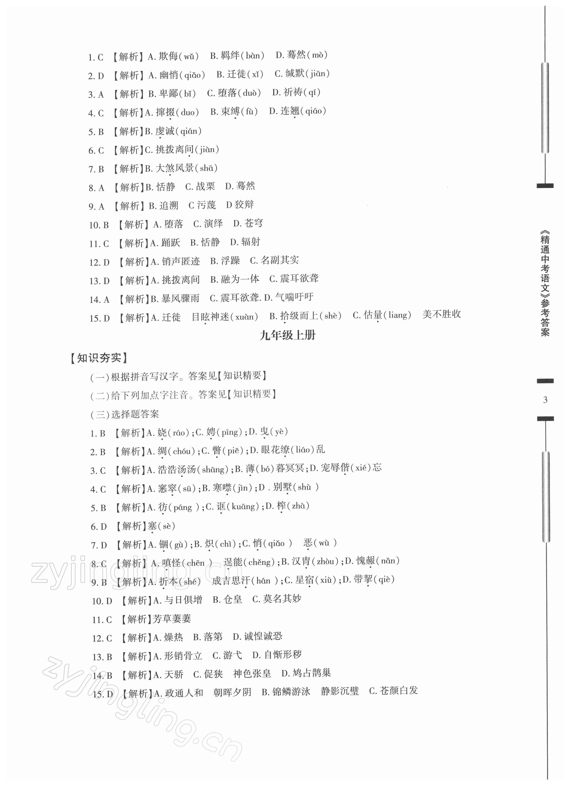 2022年精通中考語文基礎(chǔ)知識與試卷訓(xùn)練 第3頁