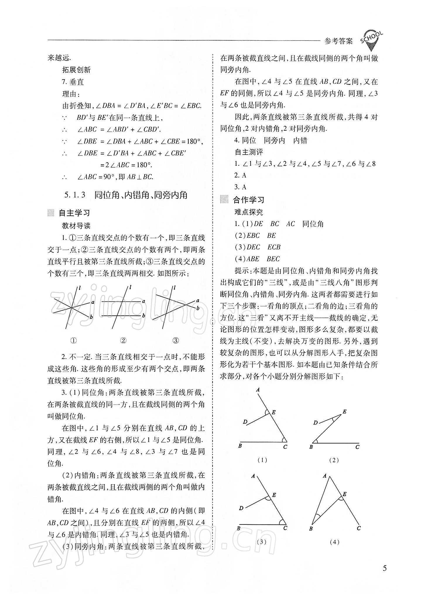 2022年新課程問題解決導(dǎo)學(xué)方案七年級數(shù)學(xué)下冊人教版 參考答案第5頁