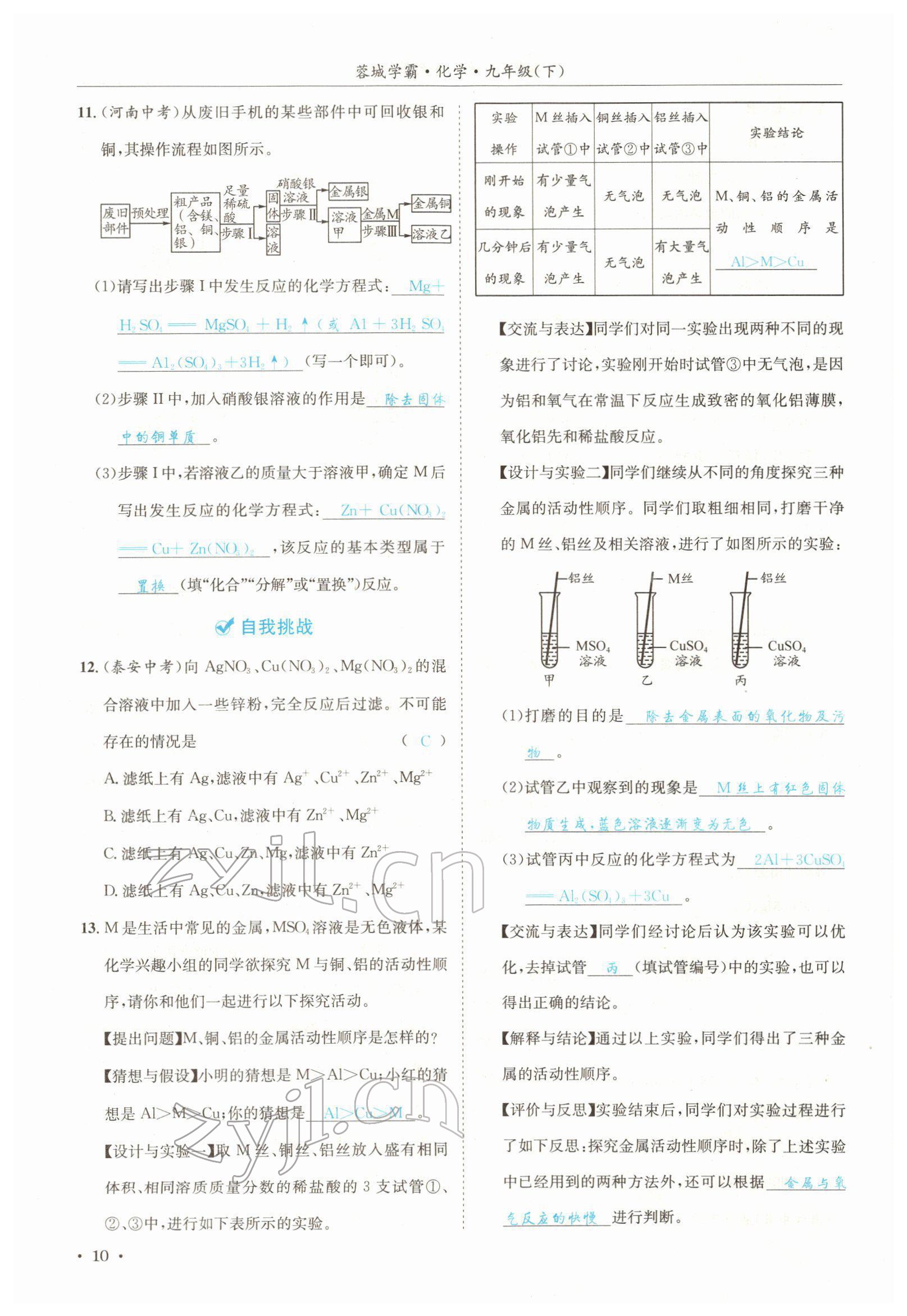 2022年蓉城學(xué)霸九年級(jí)化學(xué)下冊人教版 參考答案第10頁