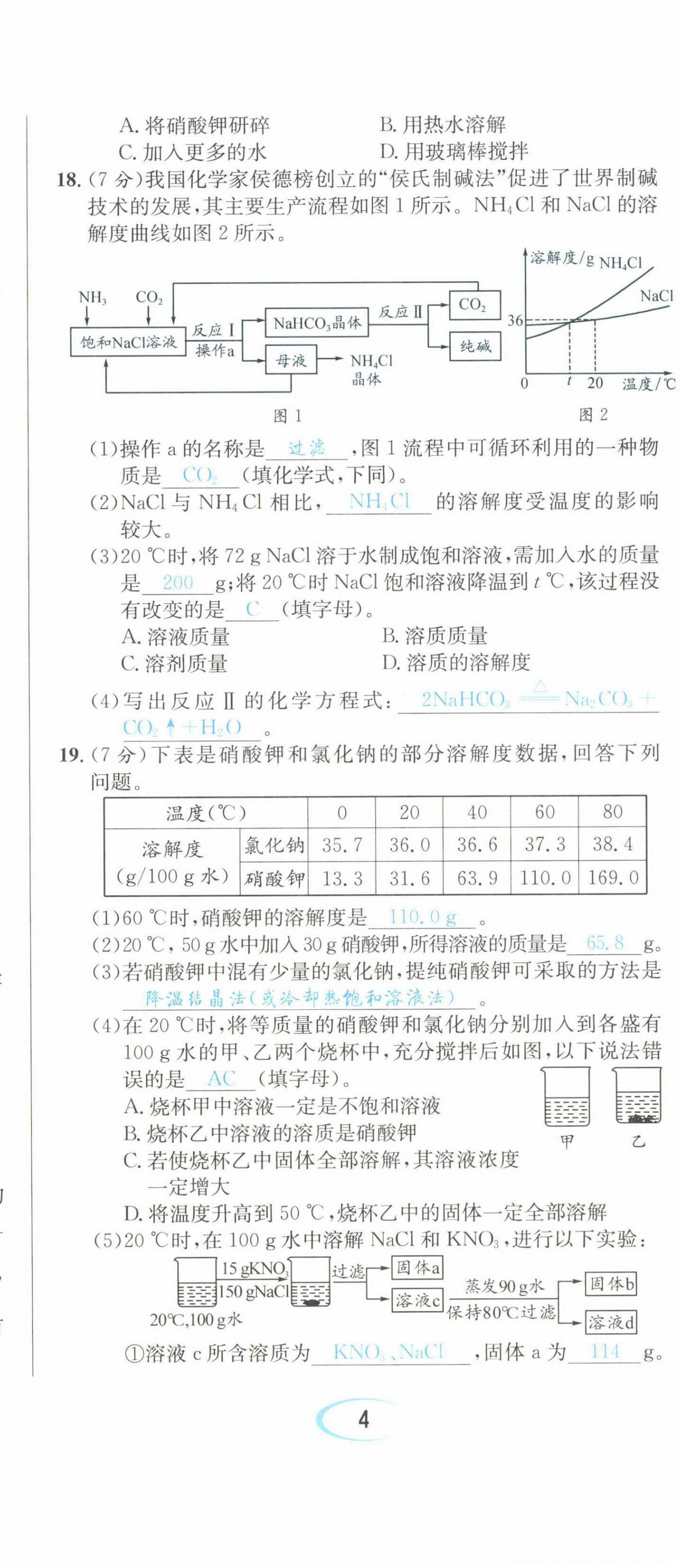 2022年蓉城學(xué)霸九年級(jí)化學(xué)下冊(cè)人教版 第11頁(yè)