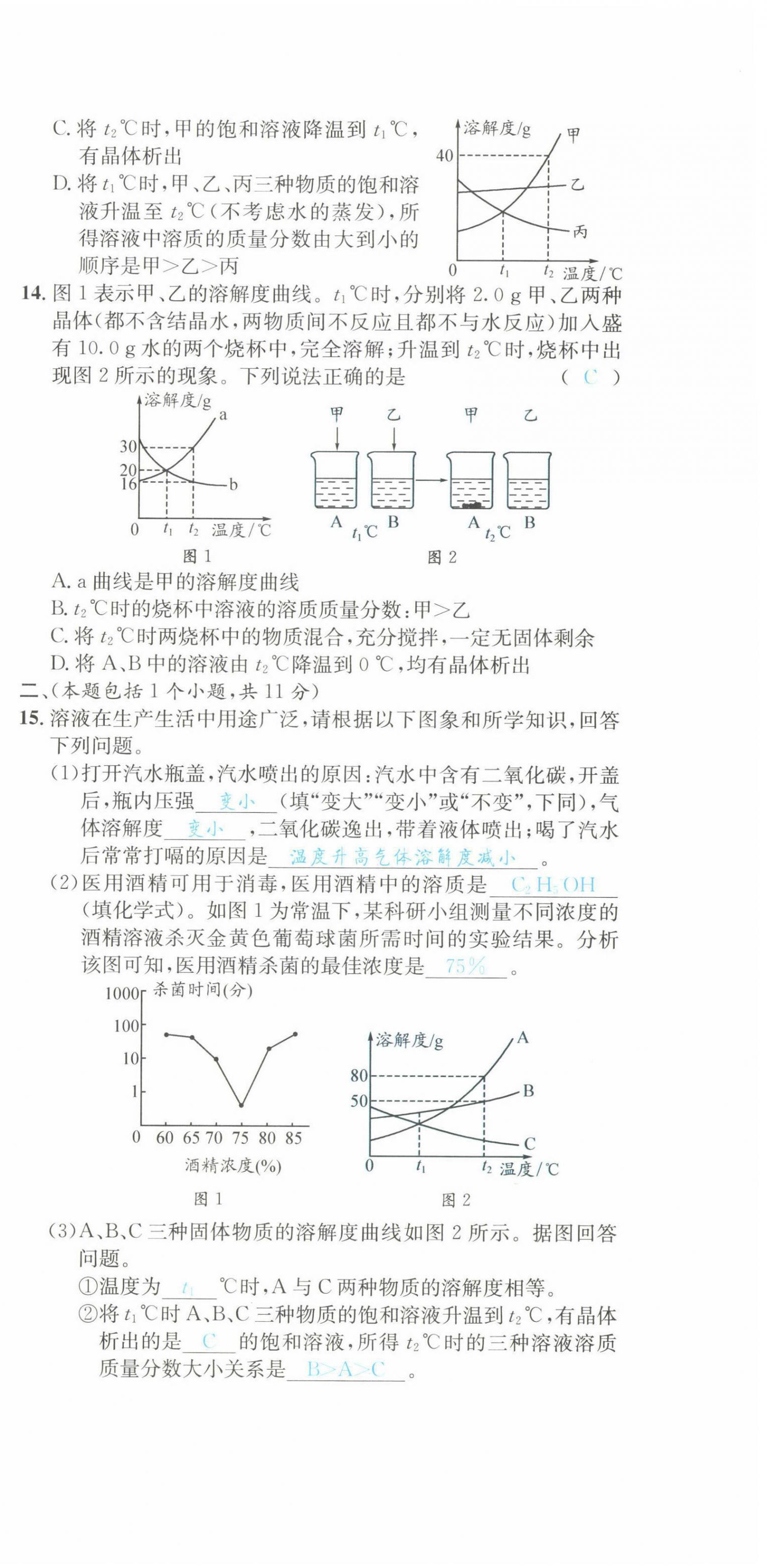 2022年蓉城學(xué)霸九年級(jí)化學(xué)下冊(cè)人教版 第9頁(yè)