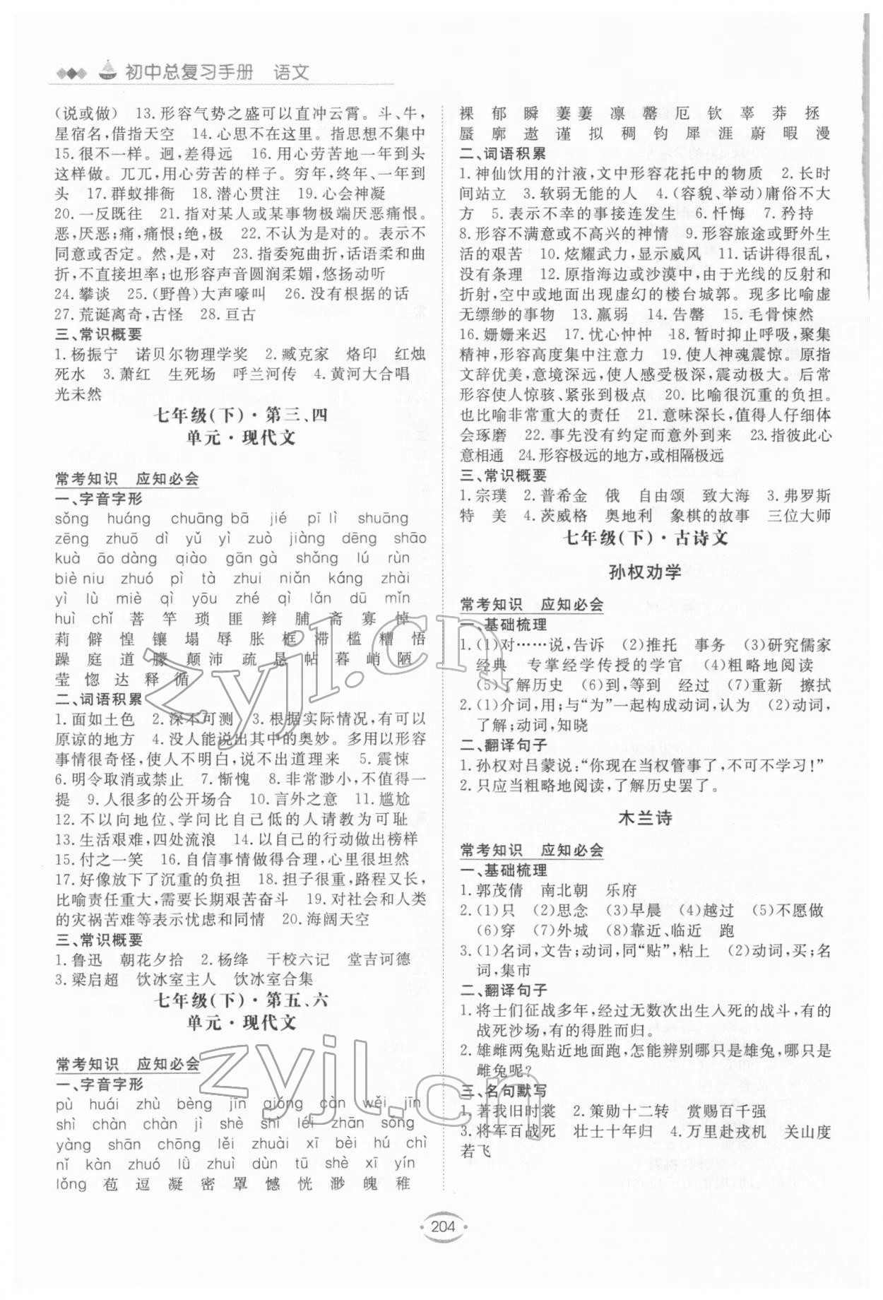 2022年初中總復(fù)習(xí)手冊新世紀(jì)出版社語文 第4頁