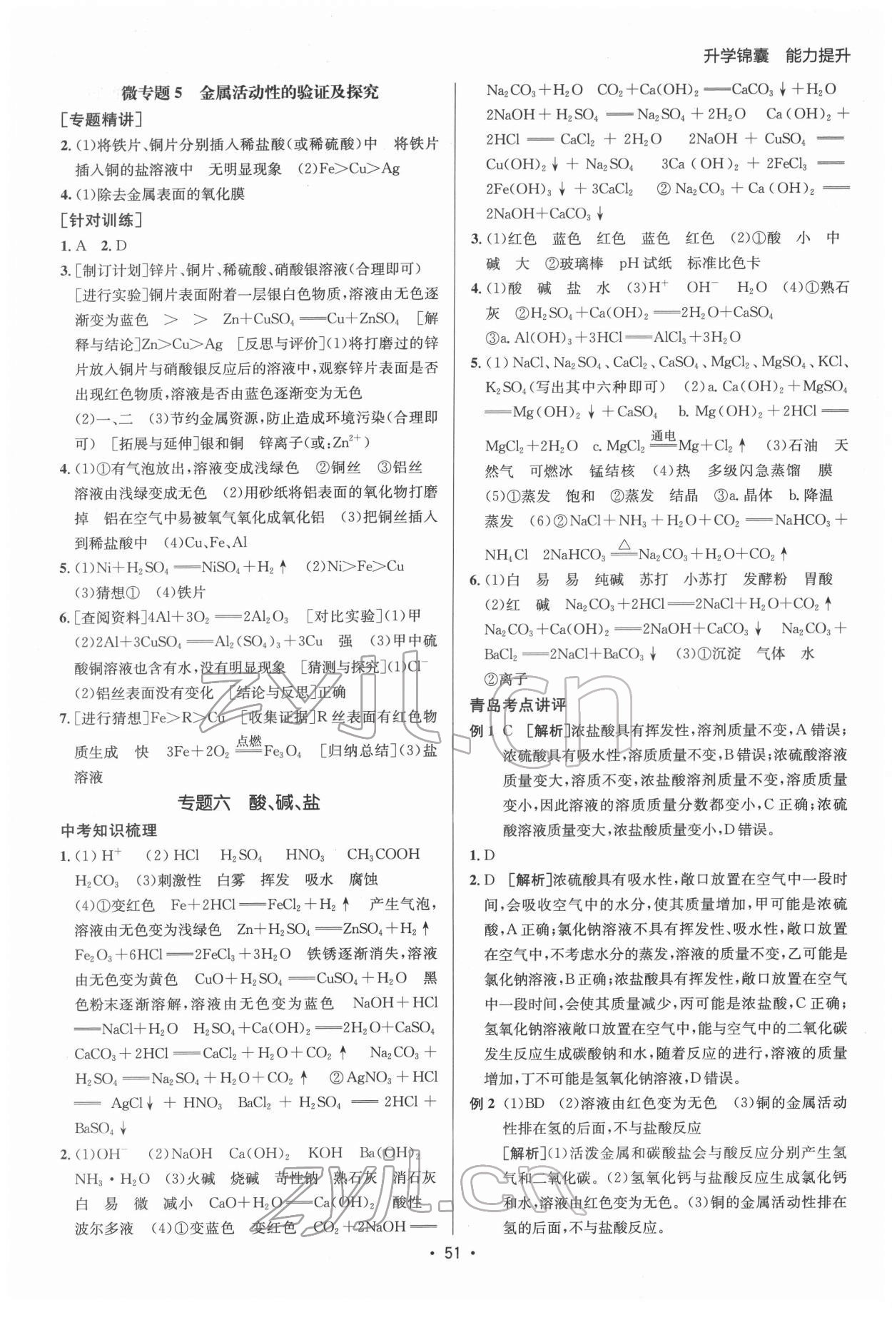 2022年升學(xué)錦囊化學(xué)青島專版 參考答案第13頁