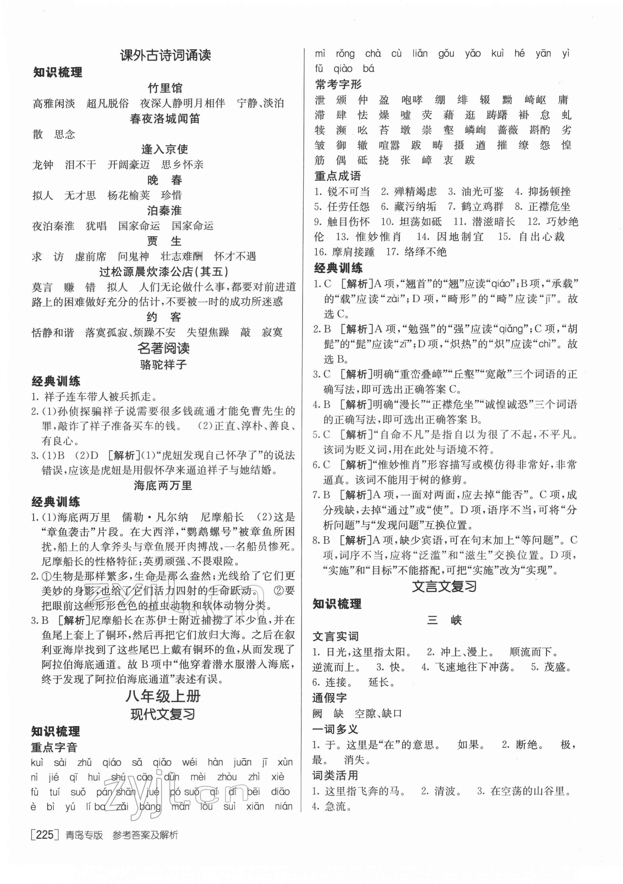 2022年升学锦囊语文青岛专版 参考答案第5页