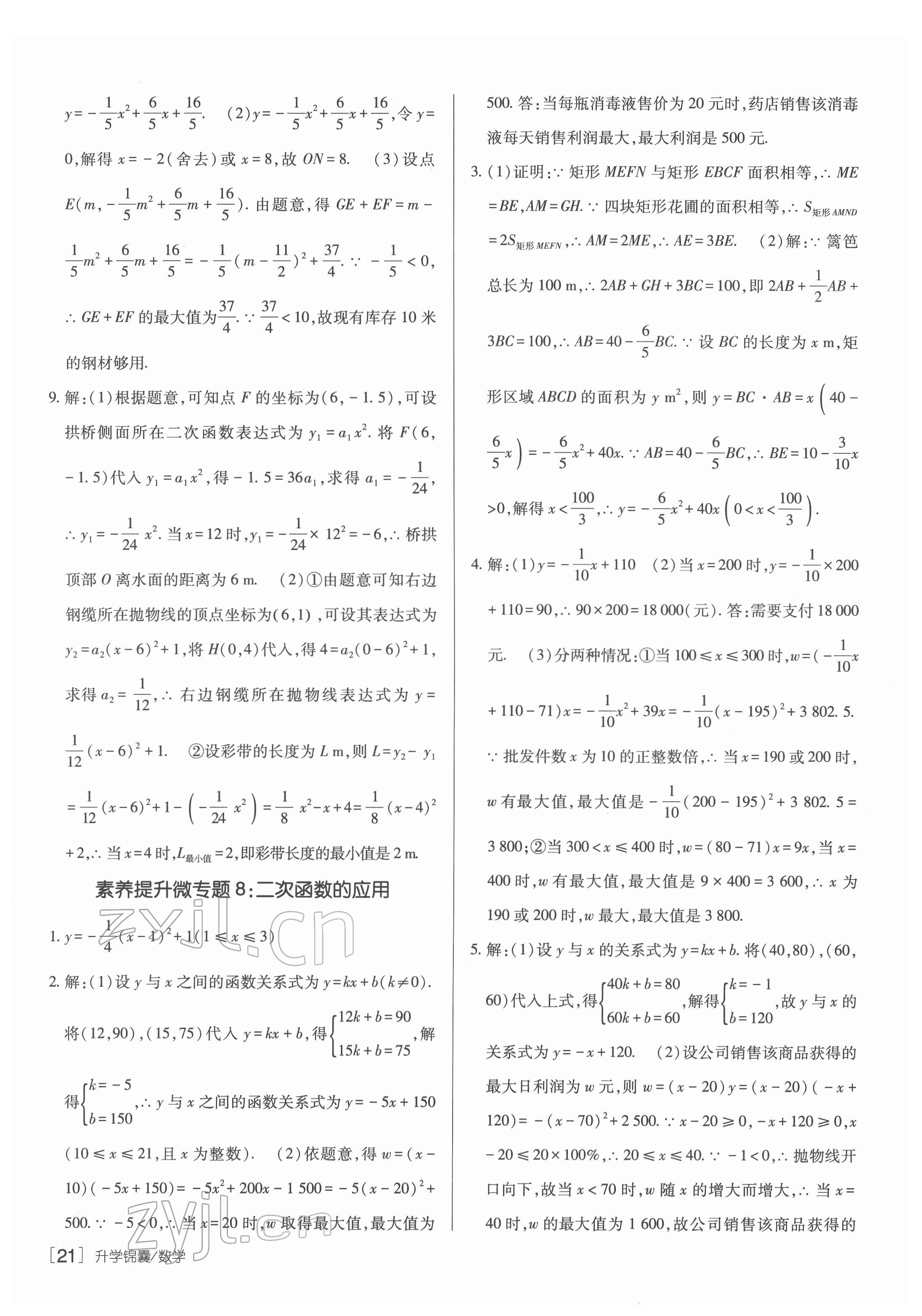 2022年升學(xué)錦囊數(shù)學(xué)青島專版 參考答案第21頁