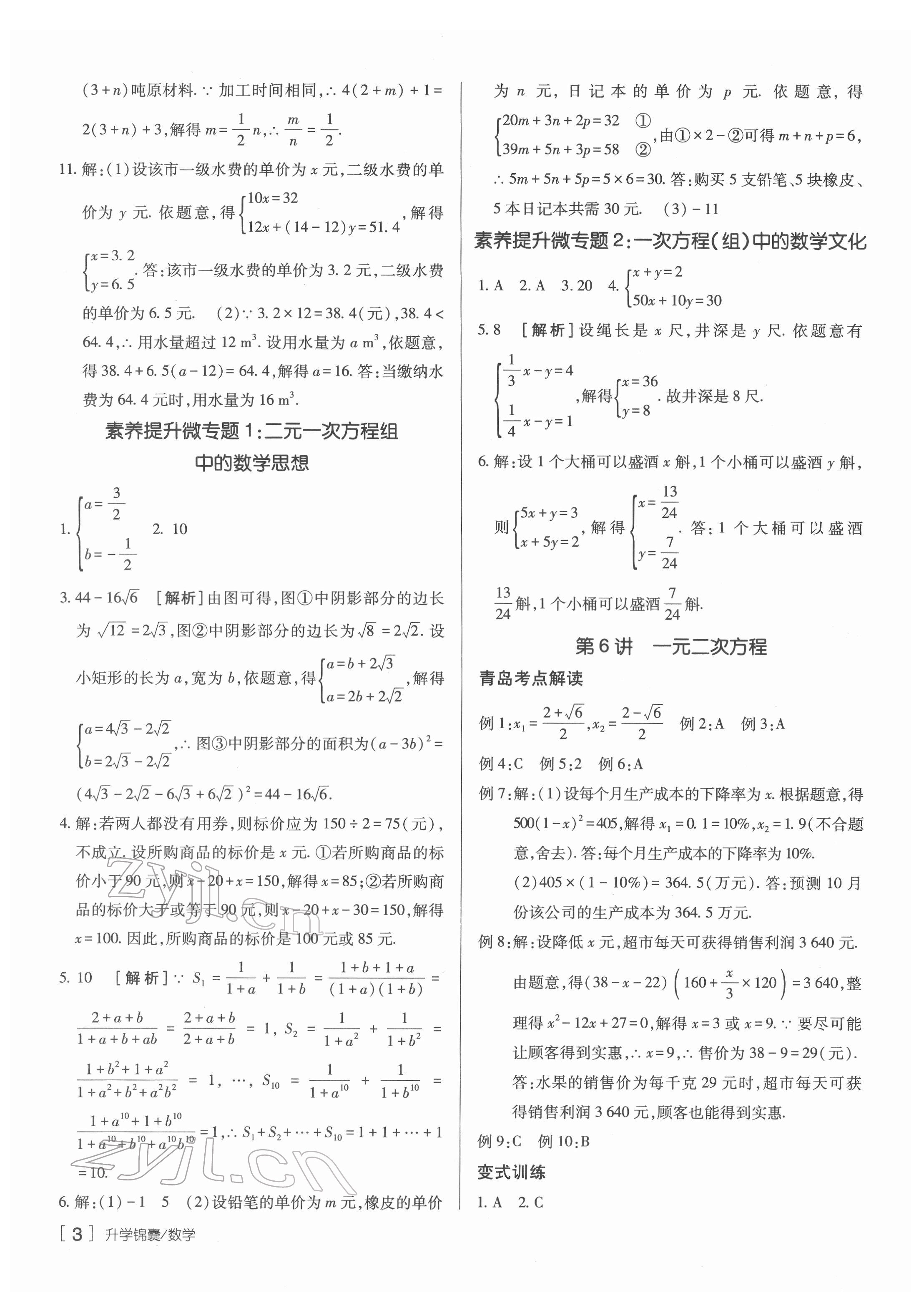 2022年升學(xué)錦囊數(shù)學(xué)青島專版 參考答案第3頁(yè)