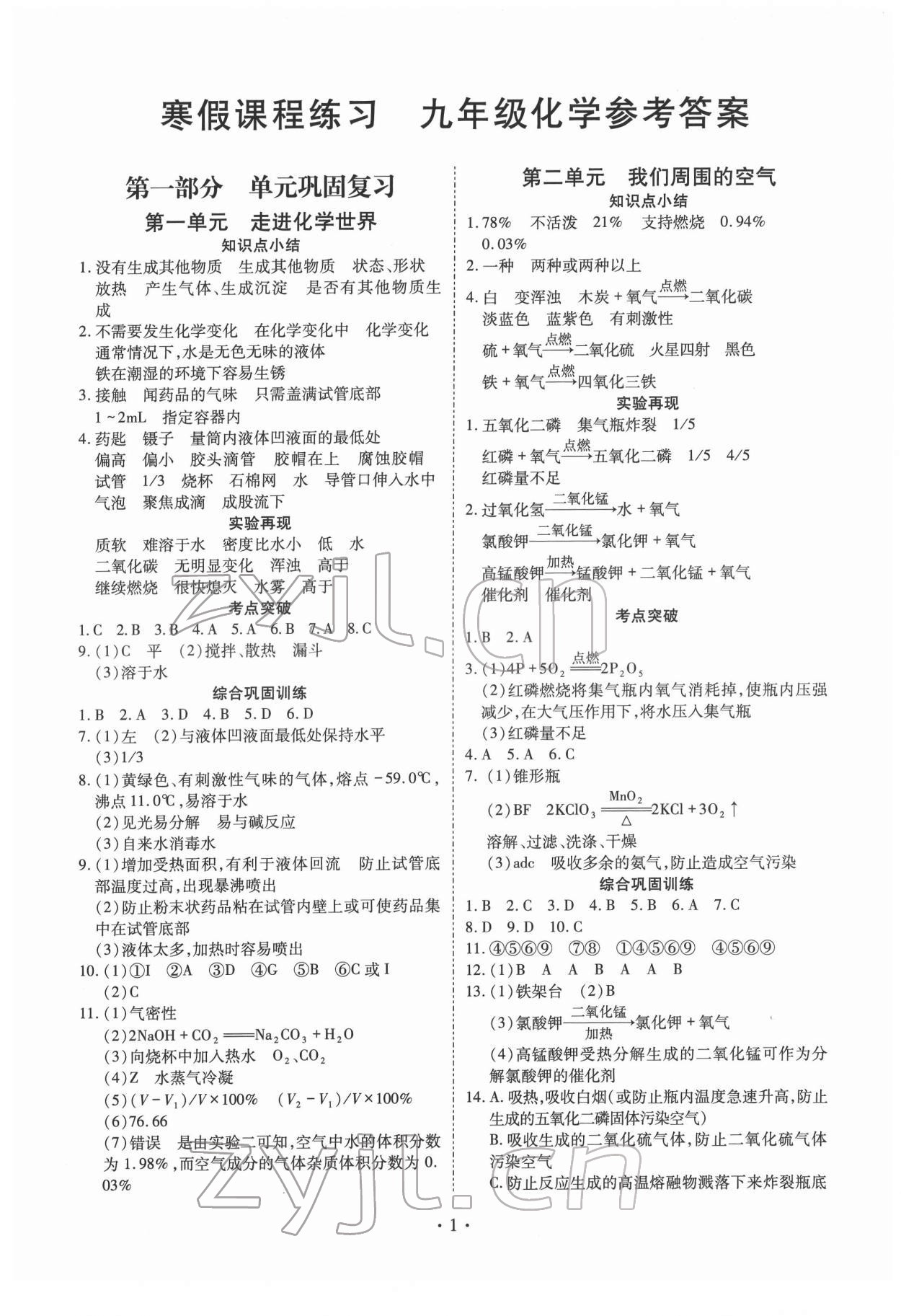 2022年寒假課程練習(xí)天津教育出版社九年級化學(xué)人教版 第1頁