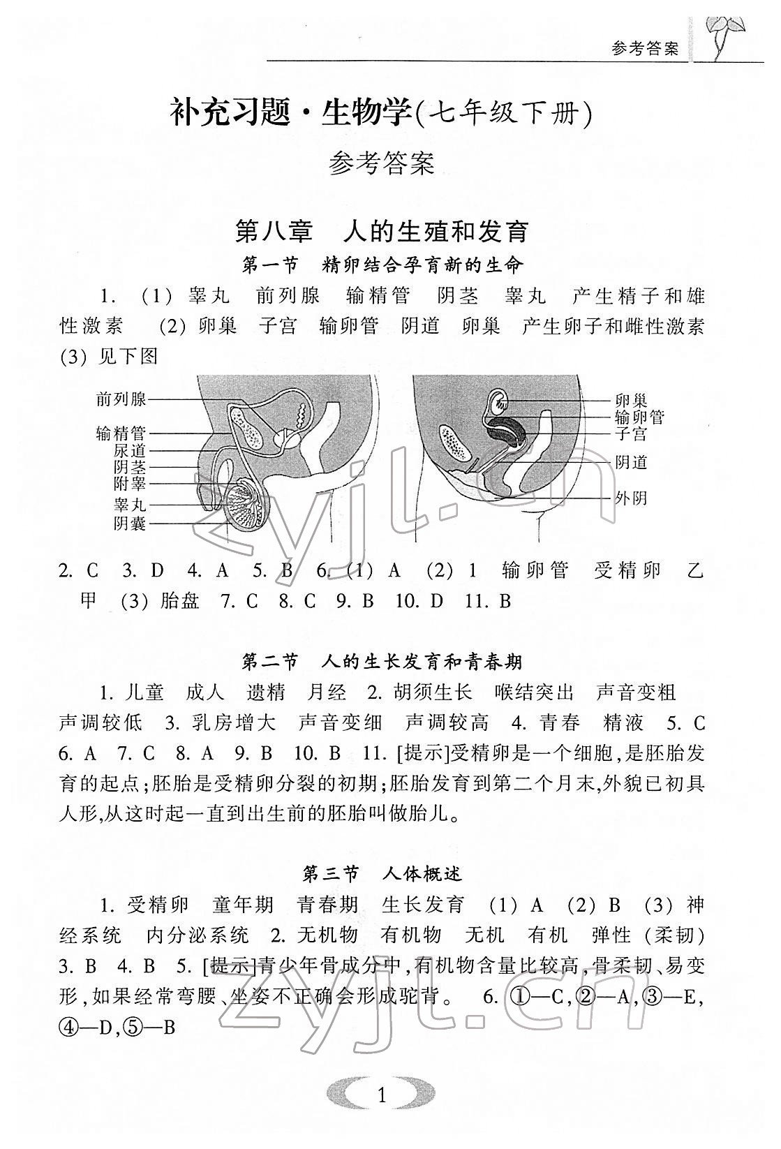 2022年補充習題七年級生物下冊蘇教版 第1頁