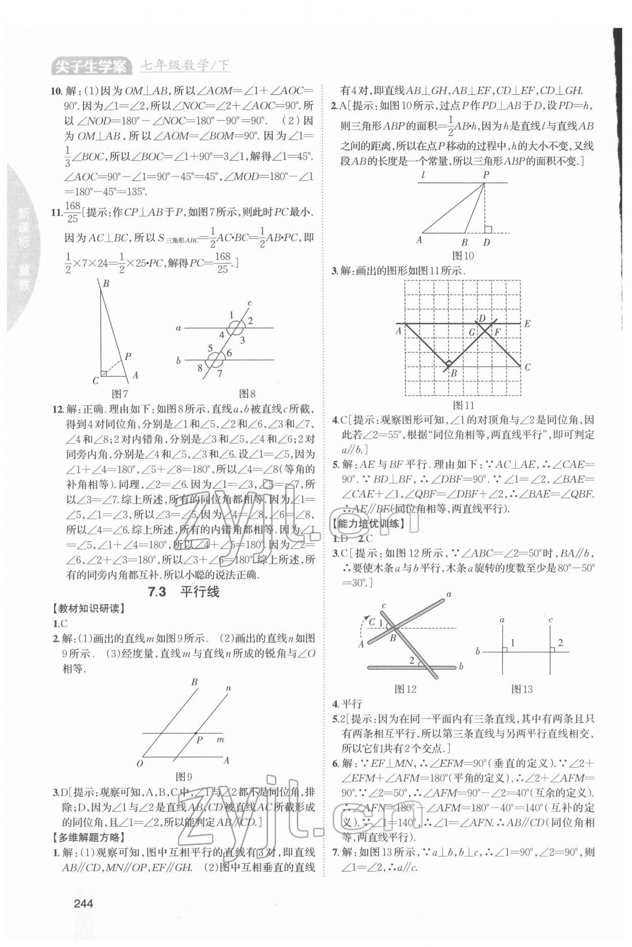 2022年尖子生學(xué)案七年級數(shù)學(xué)下冊冀教版 參考答案第10頁