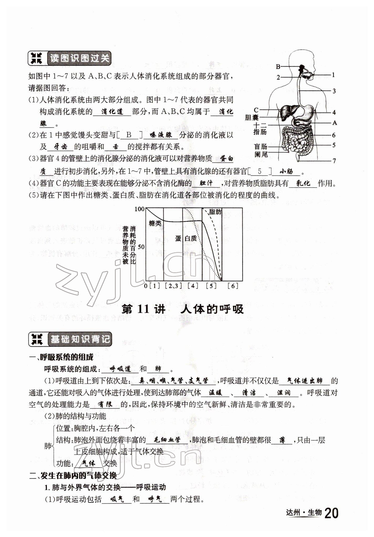 2022年國(guó)華考試中考總動(dòng)員生物達(dá)州專(zhuān)版 參考答案第20頁(yè)