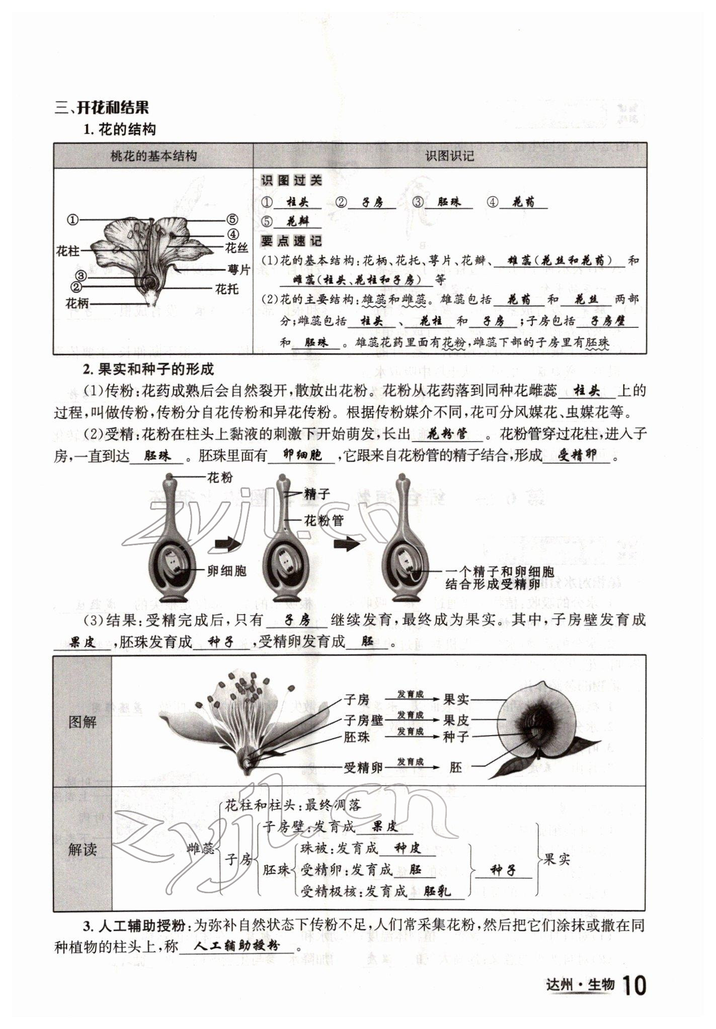 2022年國華考試中考總動員生物達州專版 參考答案第10頁