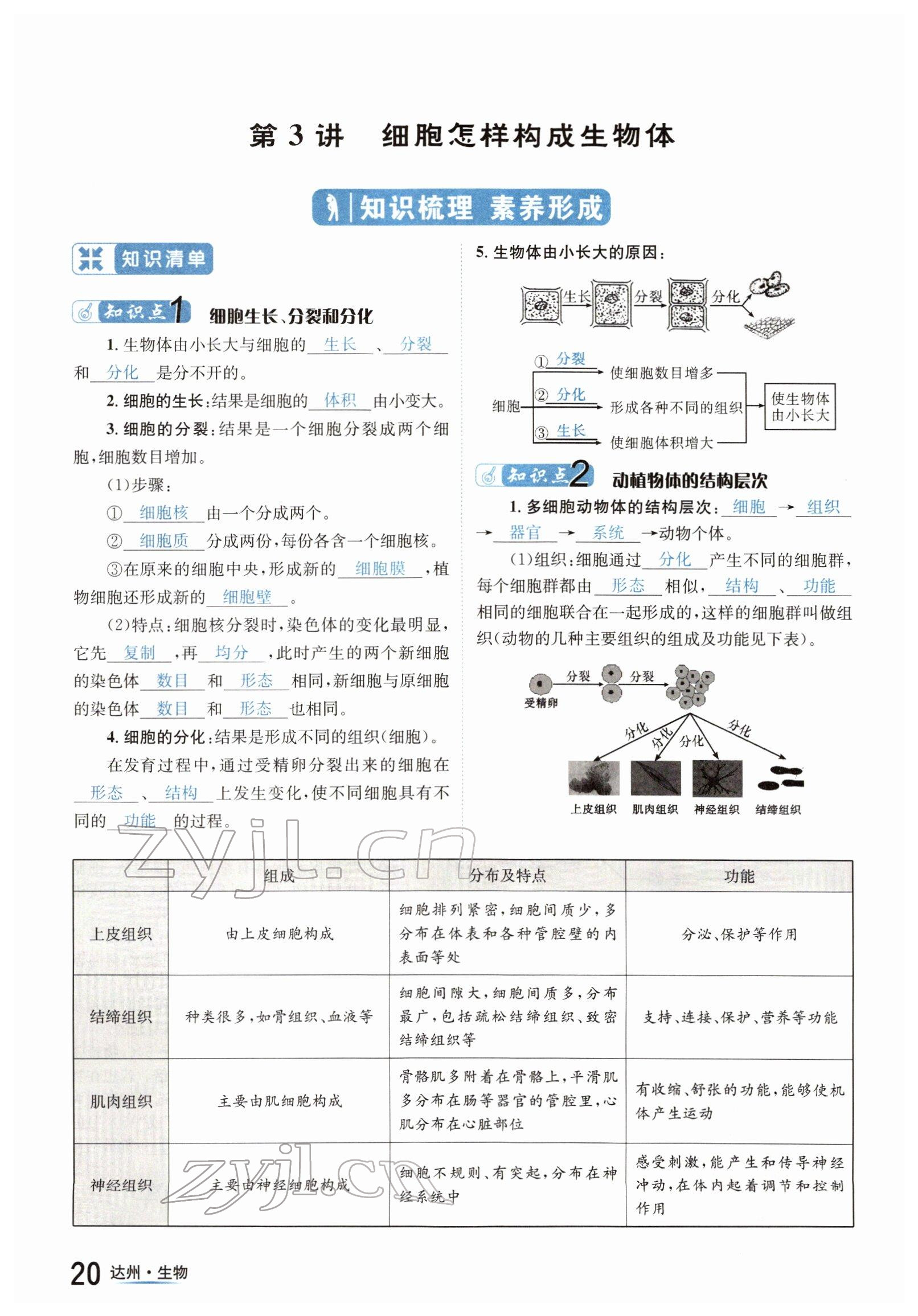 2022年國華考試中考總動員生物達(dá)州專版 參考答案第20頁