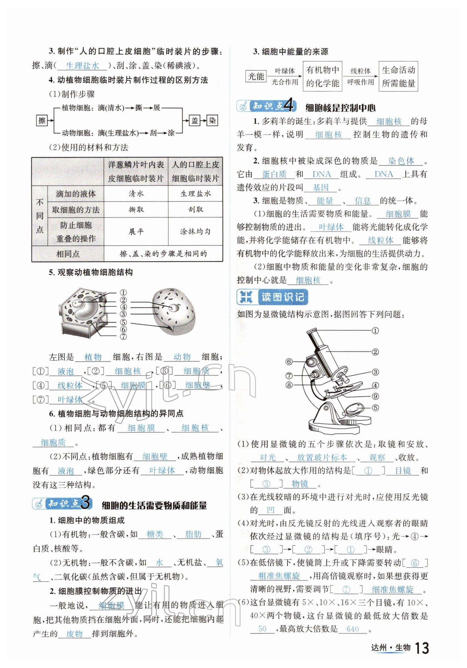 2022年國華考試中考總動員生物達州專版 參考答案第13頁