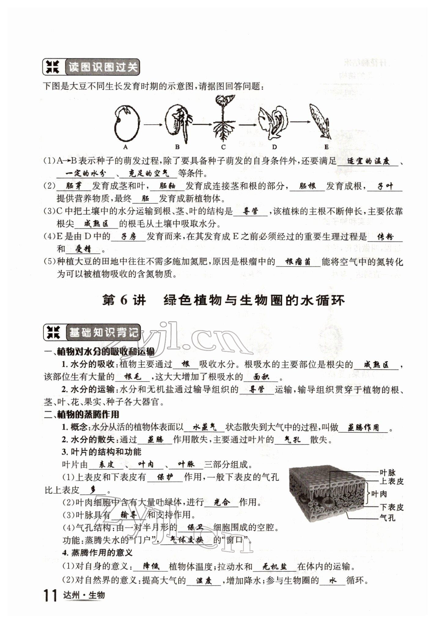 2022年國(guó)華考試中考總動(dòng)員生物達(dá)州專版 參考答案第11頁(yè)