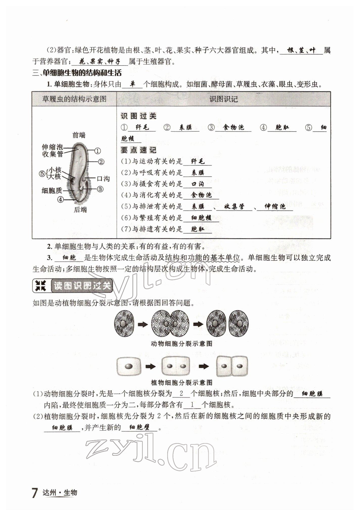 2022年國(guó)華考試中考總動(dòng)員生物達(dá)州專(zhuān)版 參考答案第7頁(yè)