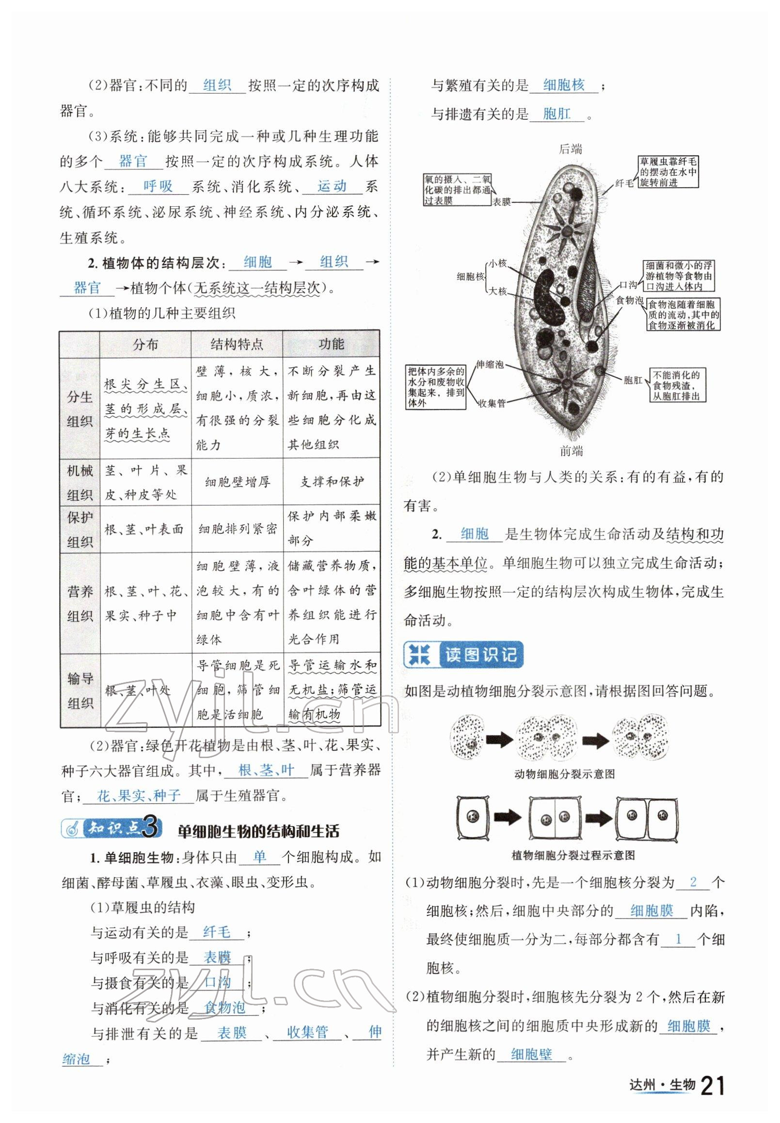 2022年國華考試中考總動員生物達州專版 參考答案第21頁