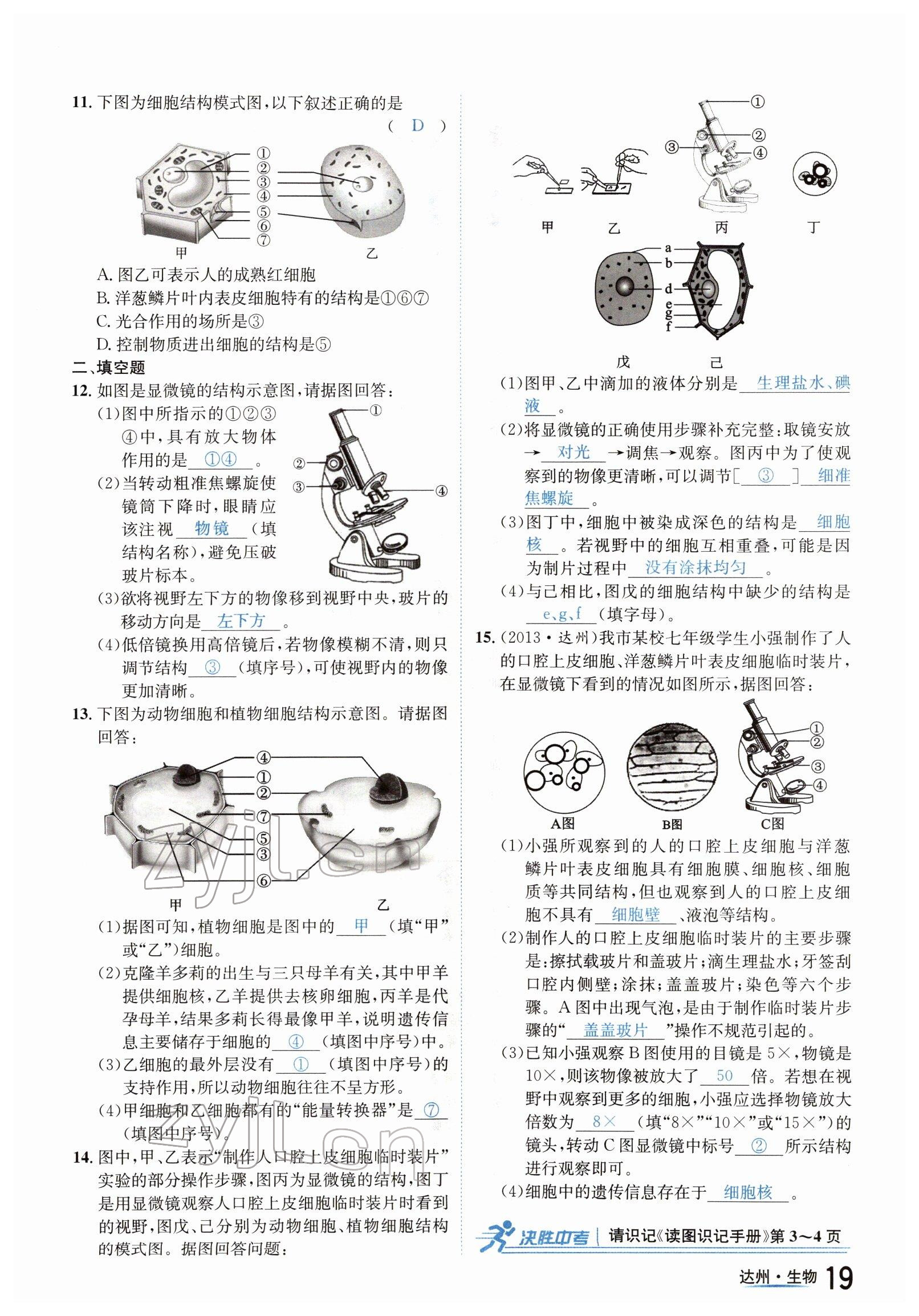 2022年國華考試中考總動員生物達州專版 參考答案第19頁