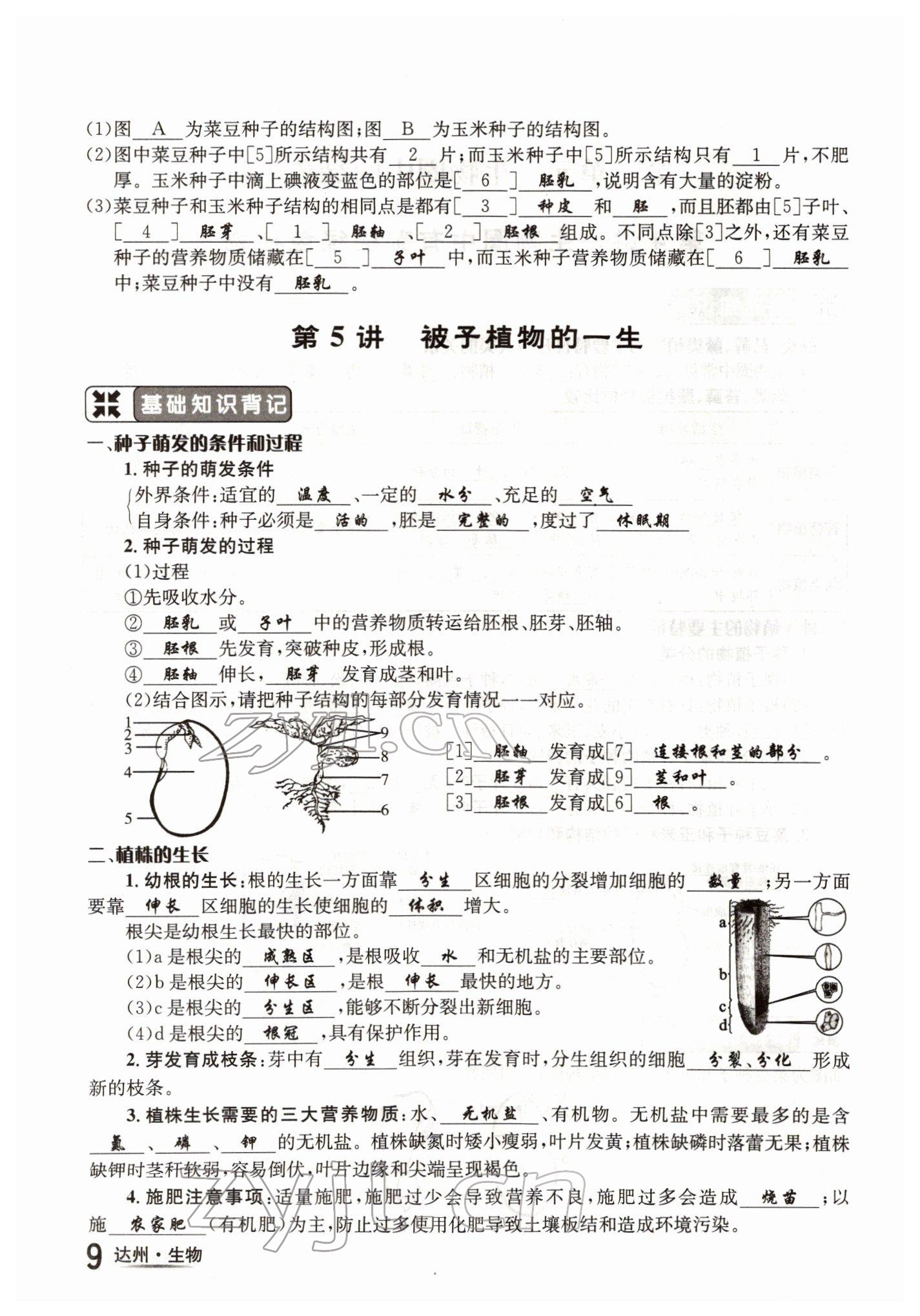 2022年國華考試中考總動員生物達(dá)州專版 參考答案第9頁