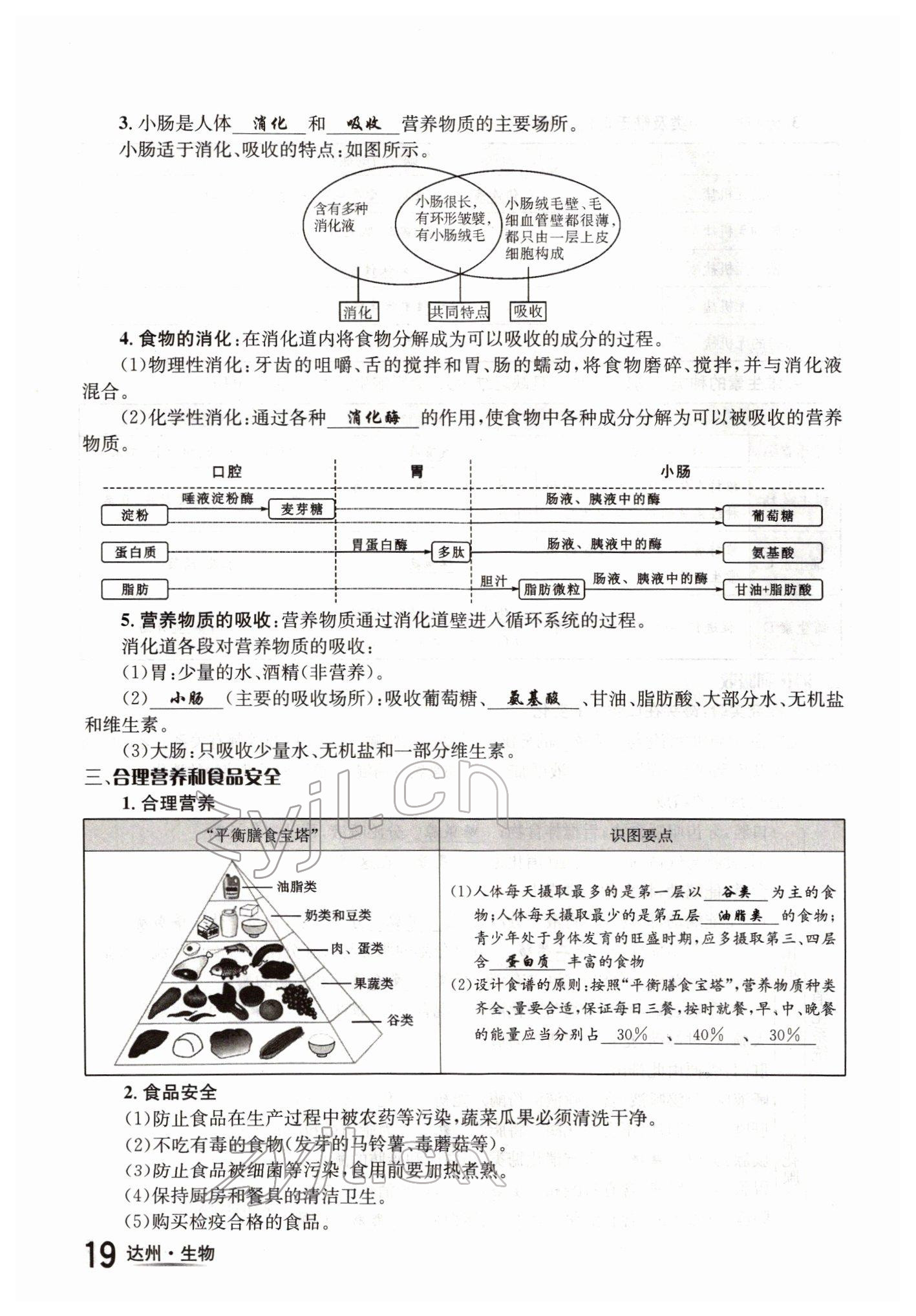 2022年國華考試中考總動員生物達州專版 參考答案第19頁