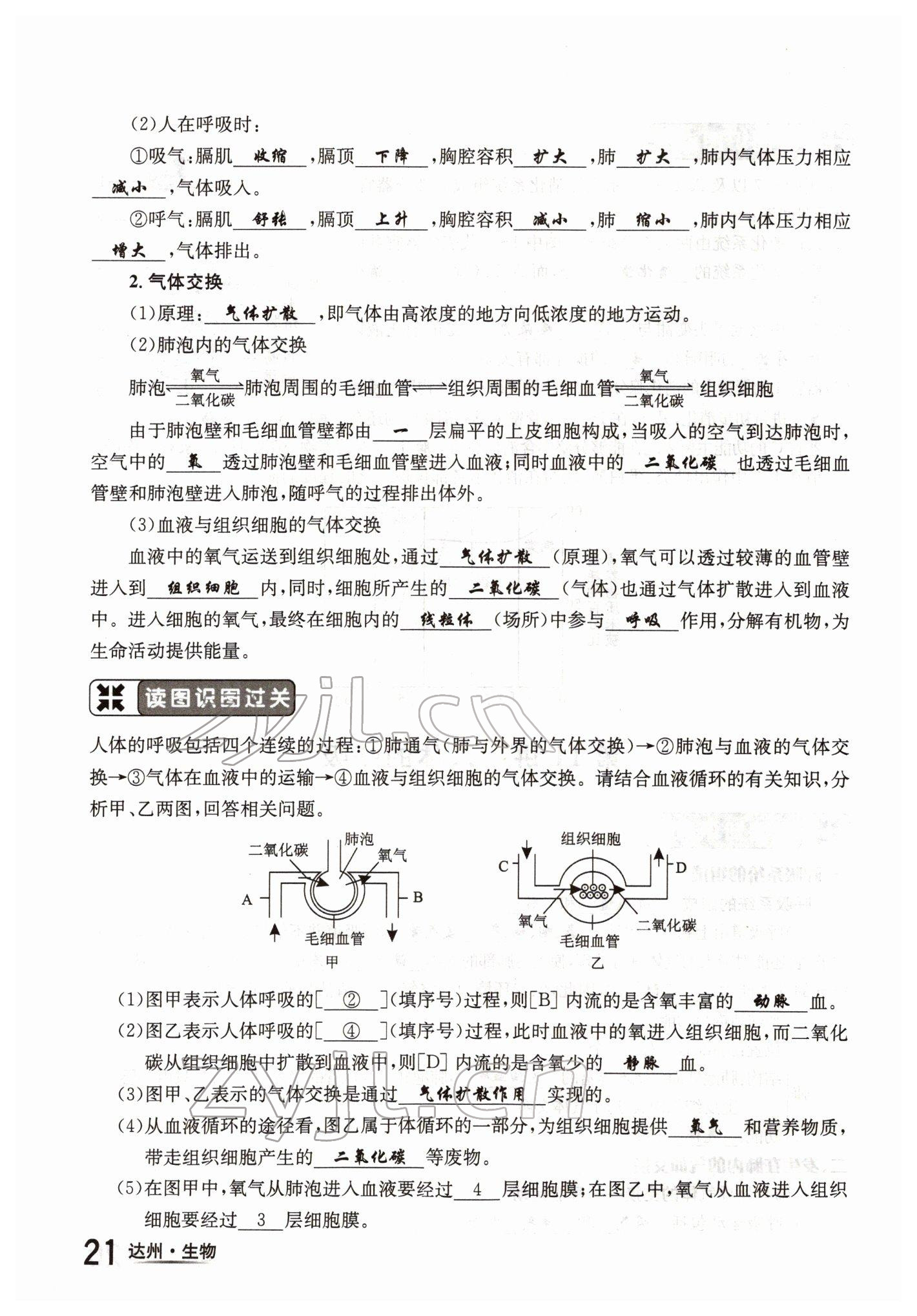 2022年國華考試中考總動(dòng)員生物達(dá)州專版 參考答案第21頁