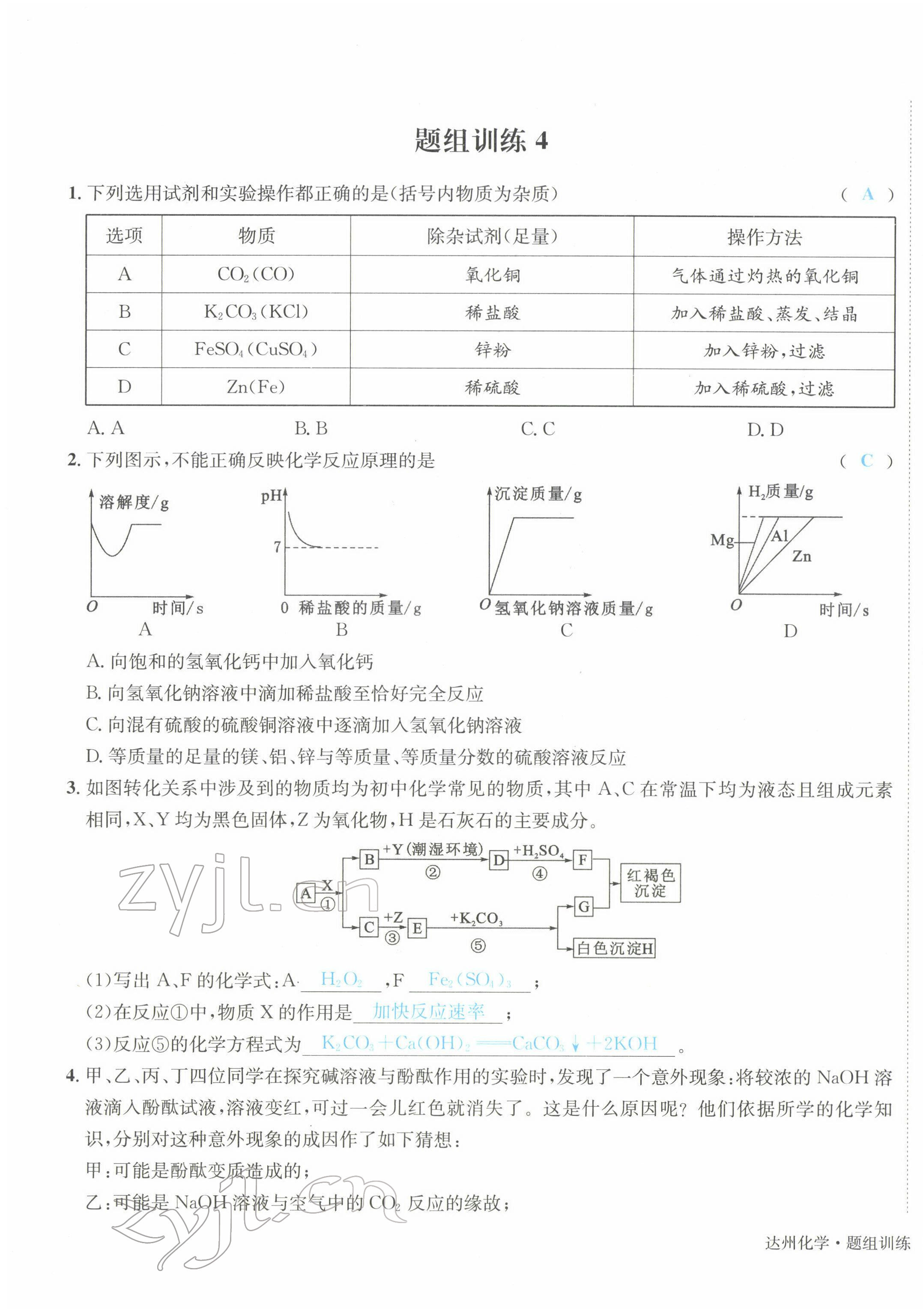 2022年国华考试中考总动员化学达州专版 第7页