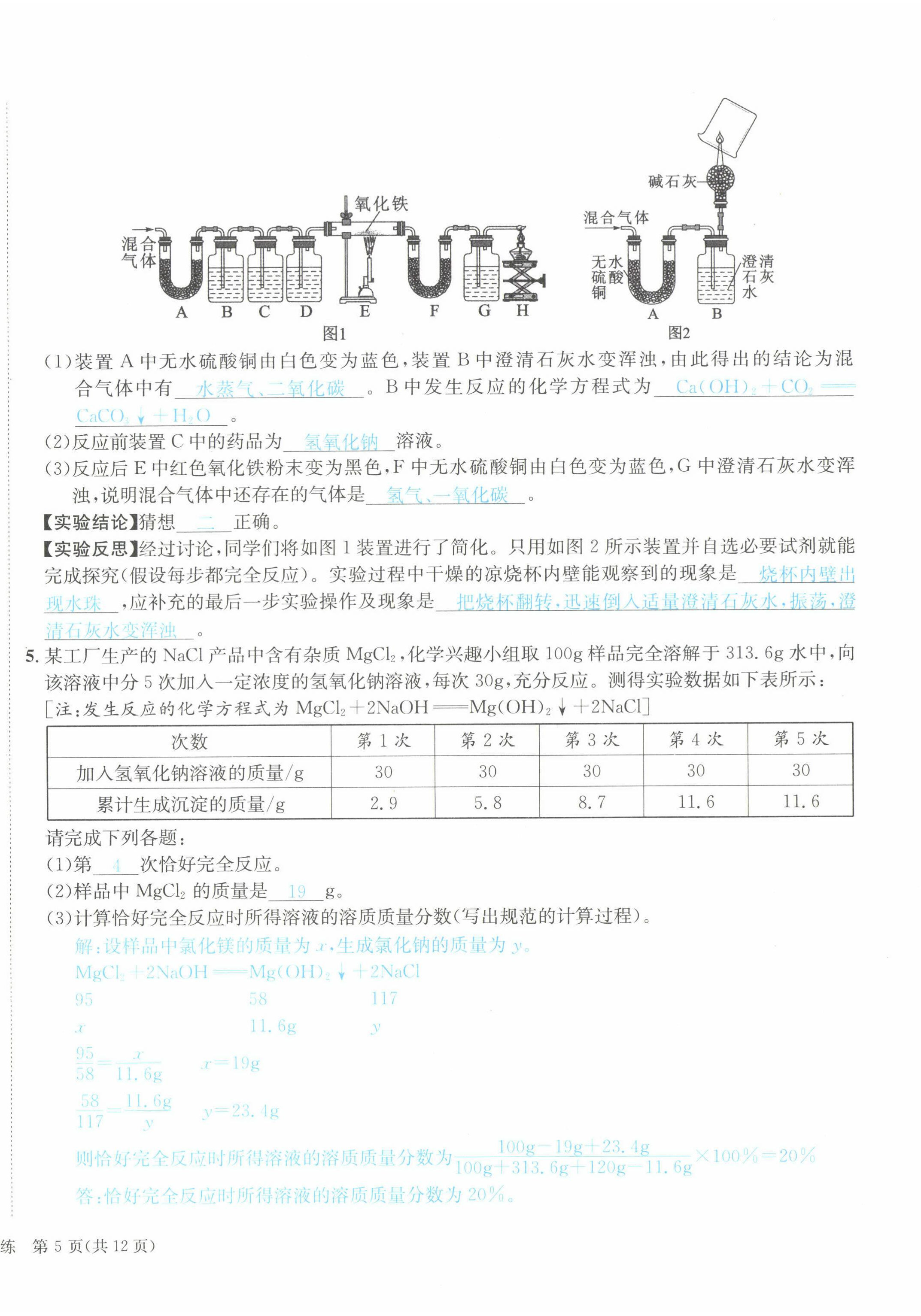 2022年国华考试中考总动员化学达州专版 第10页