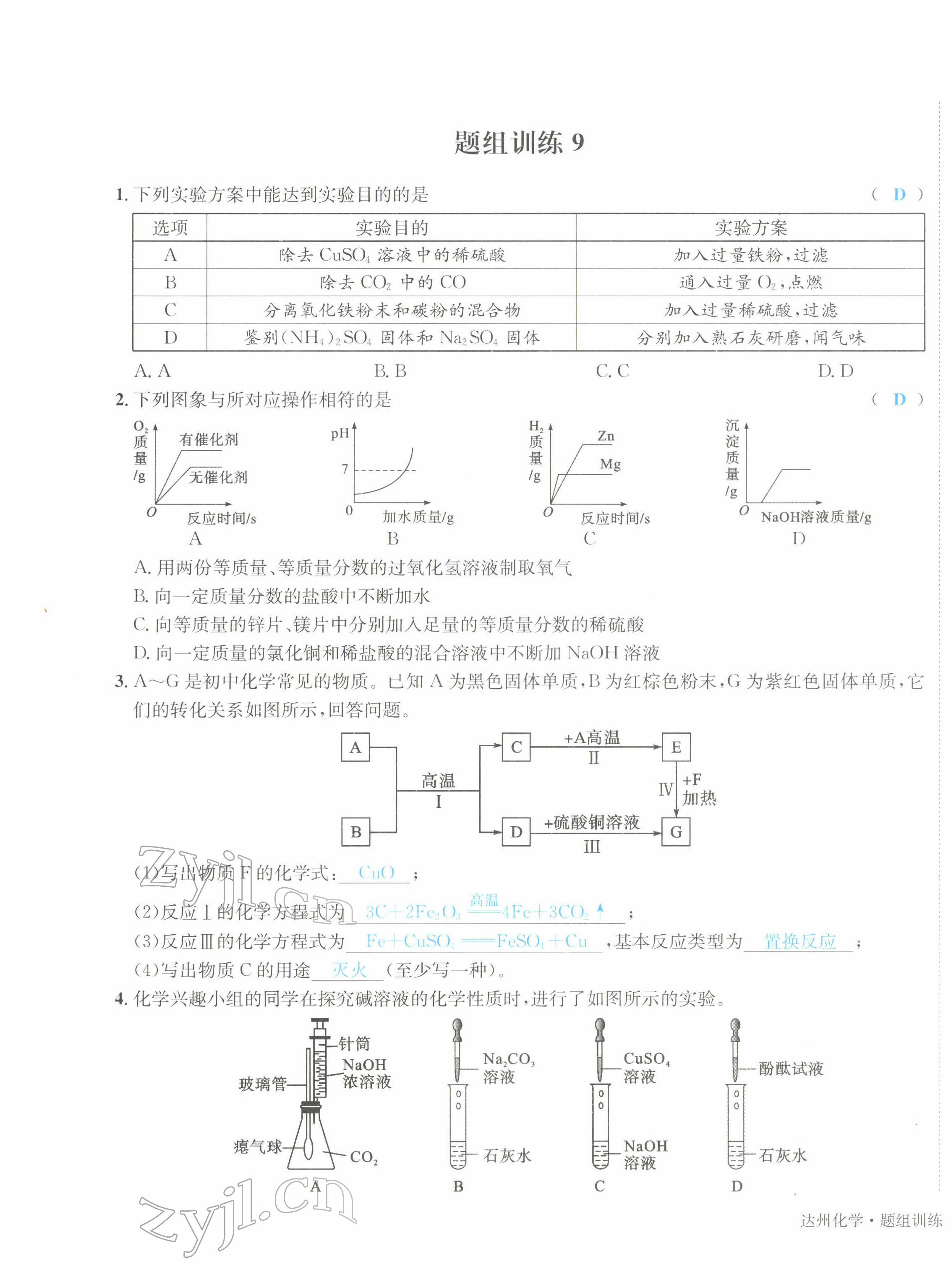 2022年国华考试中考总动员化学达州专版 第17页