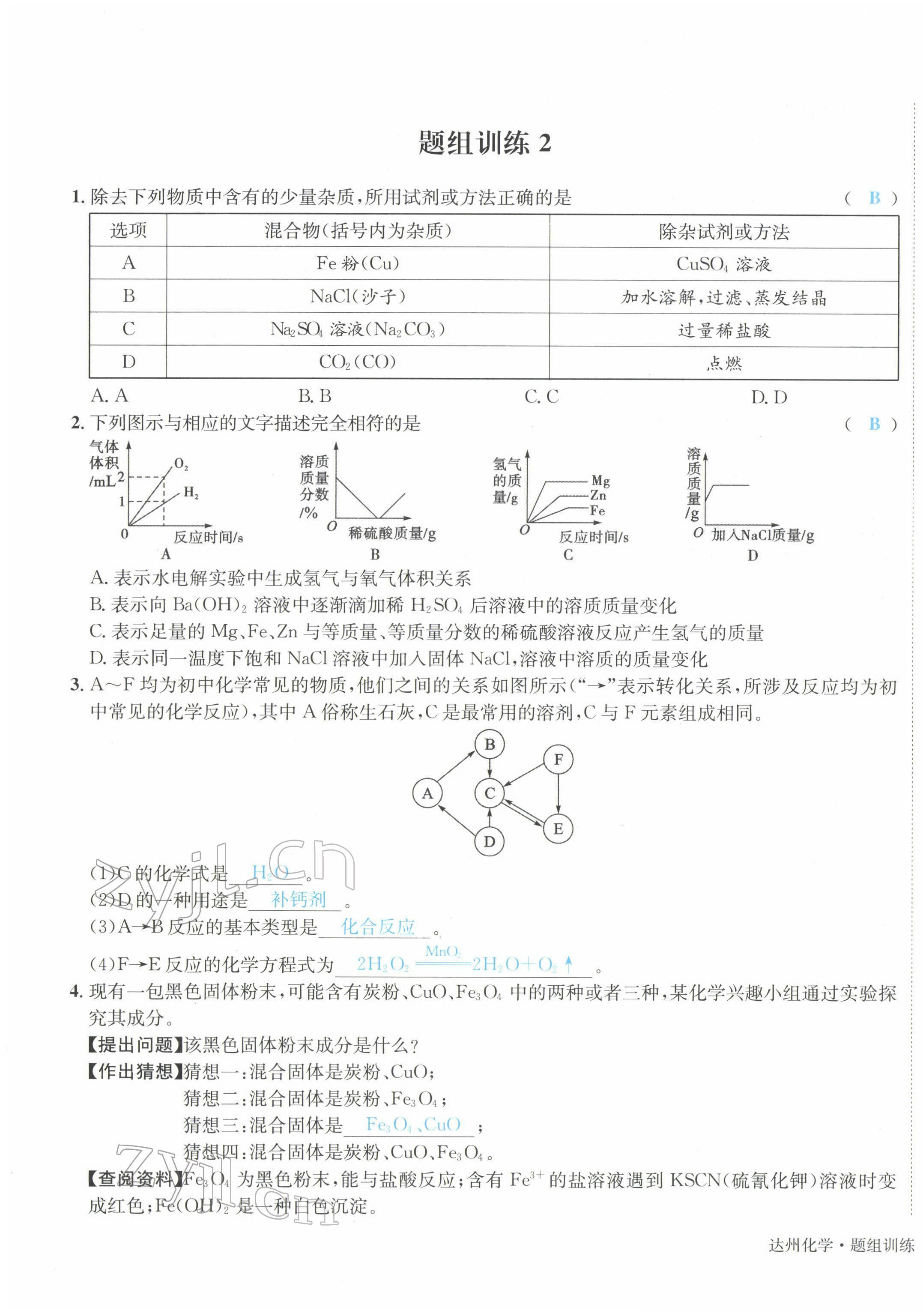 2022年国华考试中考总动员化学达州专版 第3页